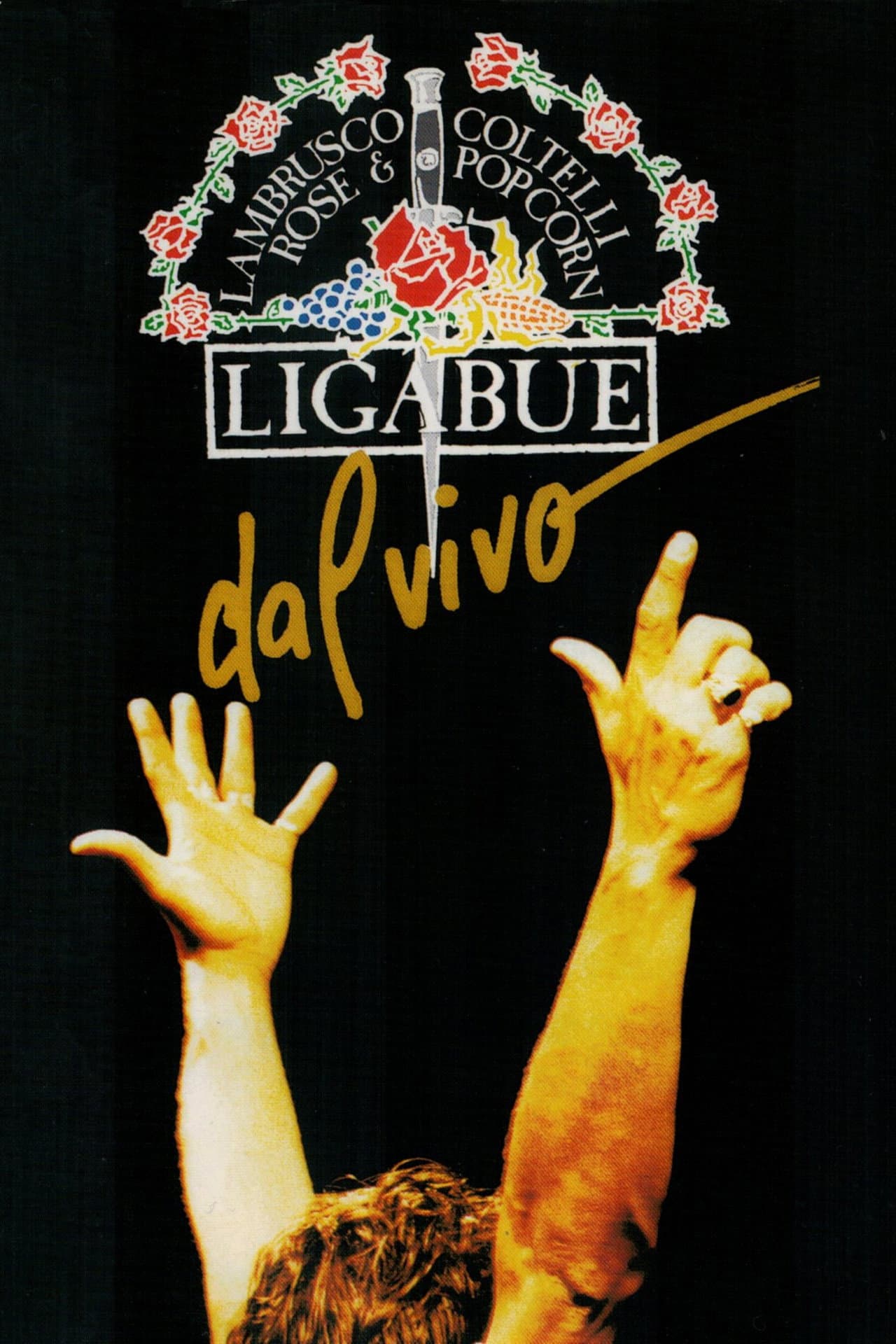 Ligabue Dal Vivo preview 2