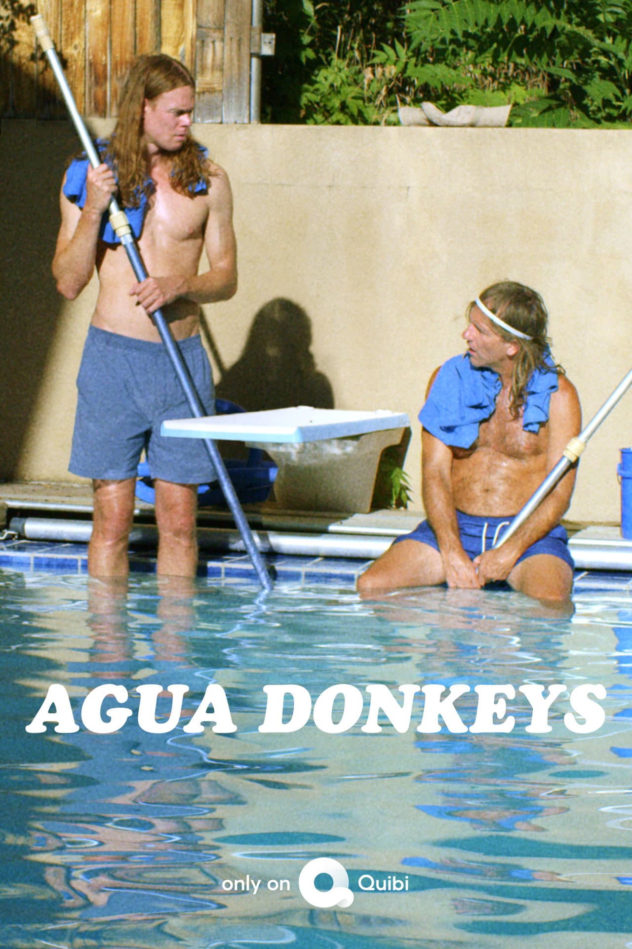 Agua Donkeys preview 2