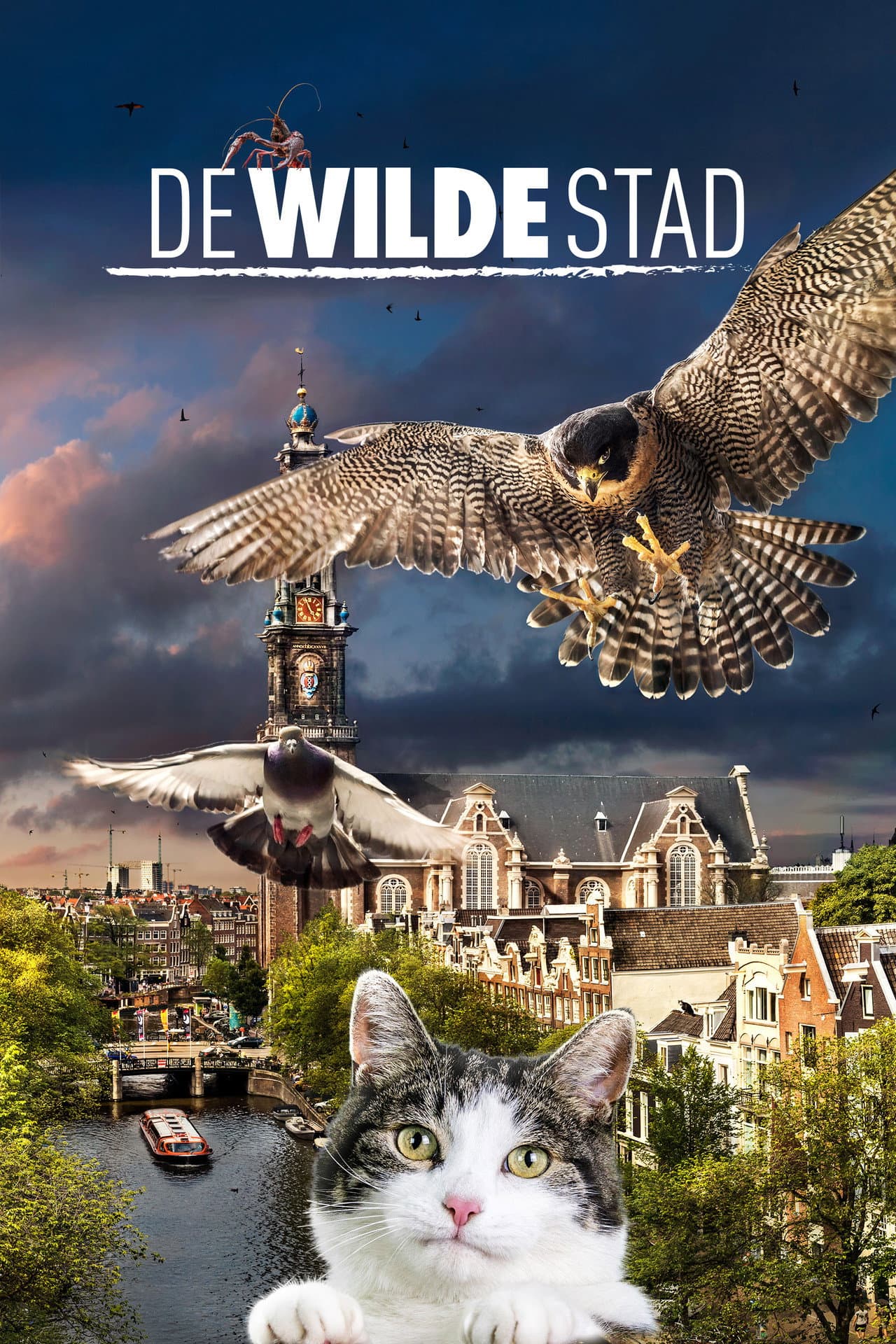 Wild Amsterdam preview 2