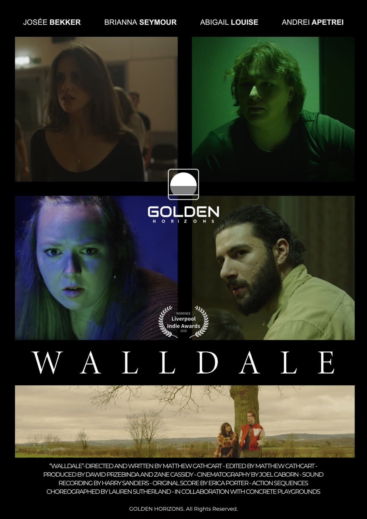 WallDale preview 2