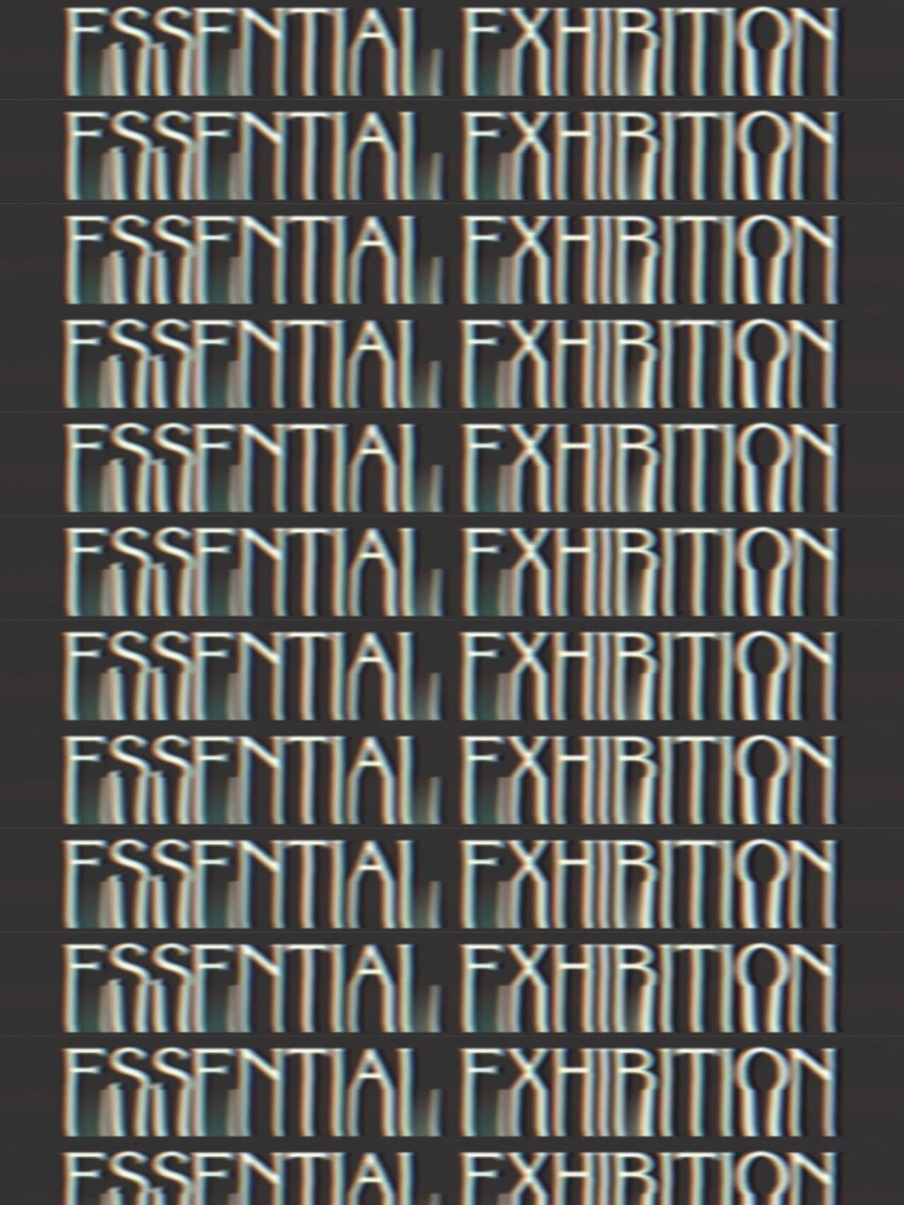 Essential Exhibition preview 1