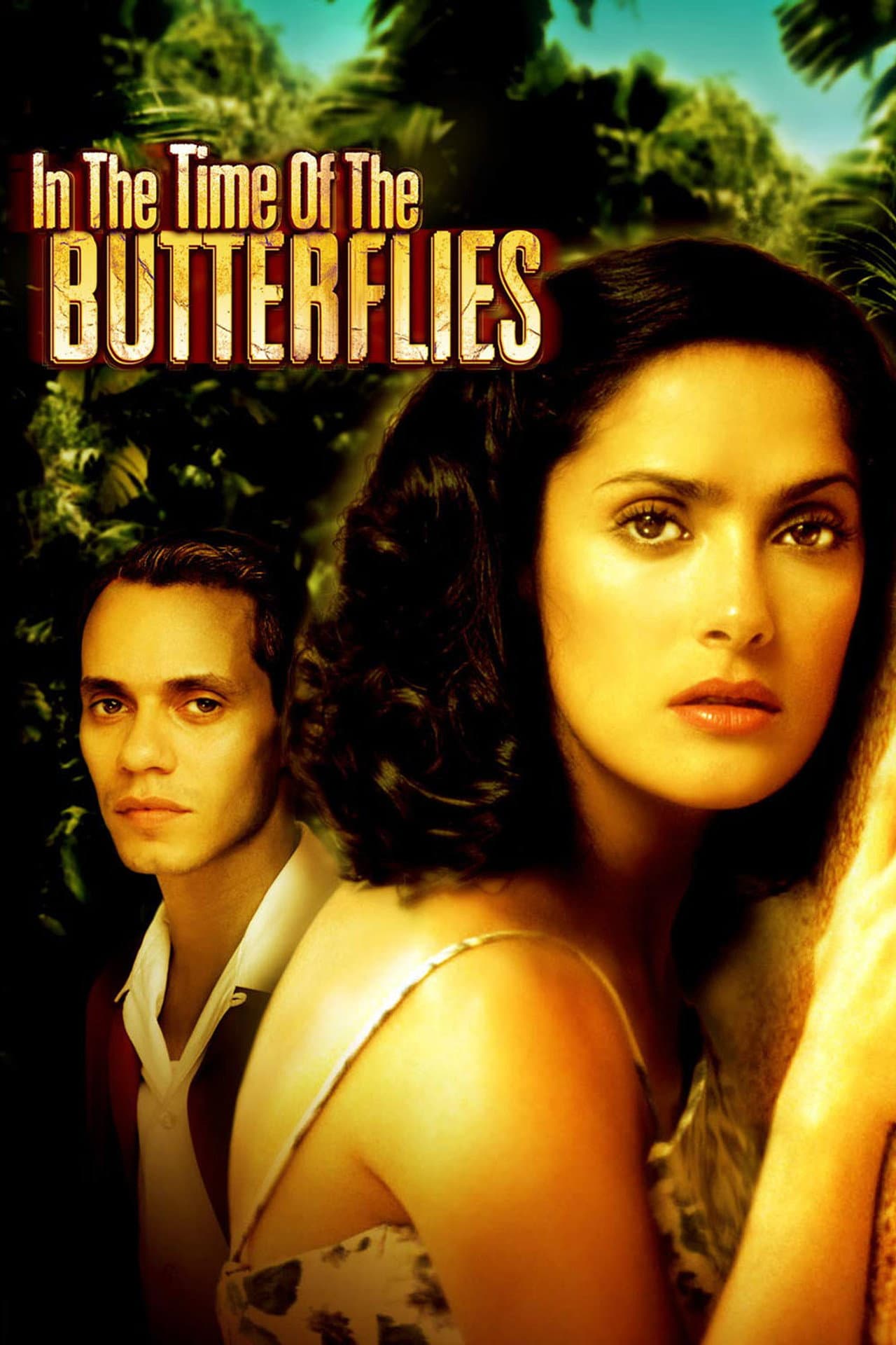In the Time of the Butterflies preview 2