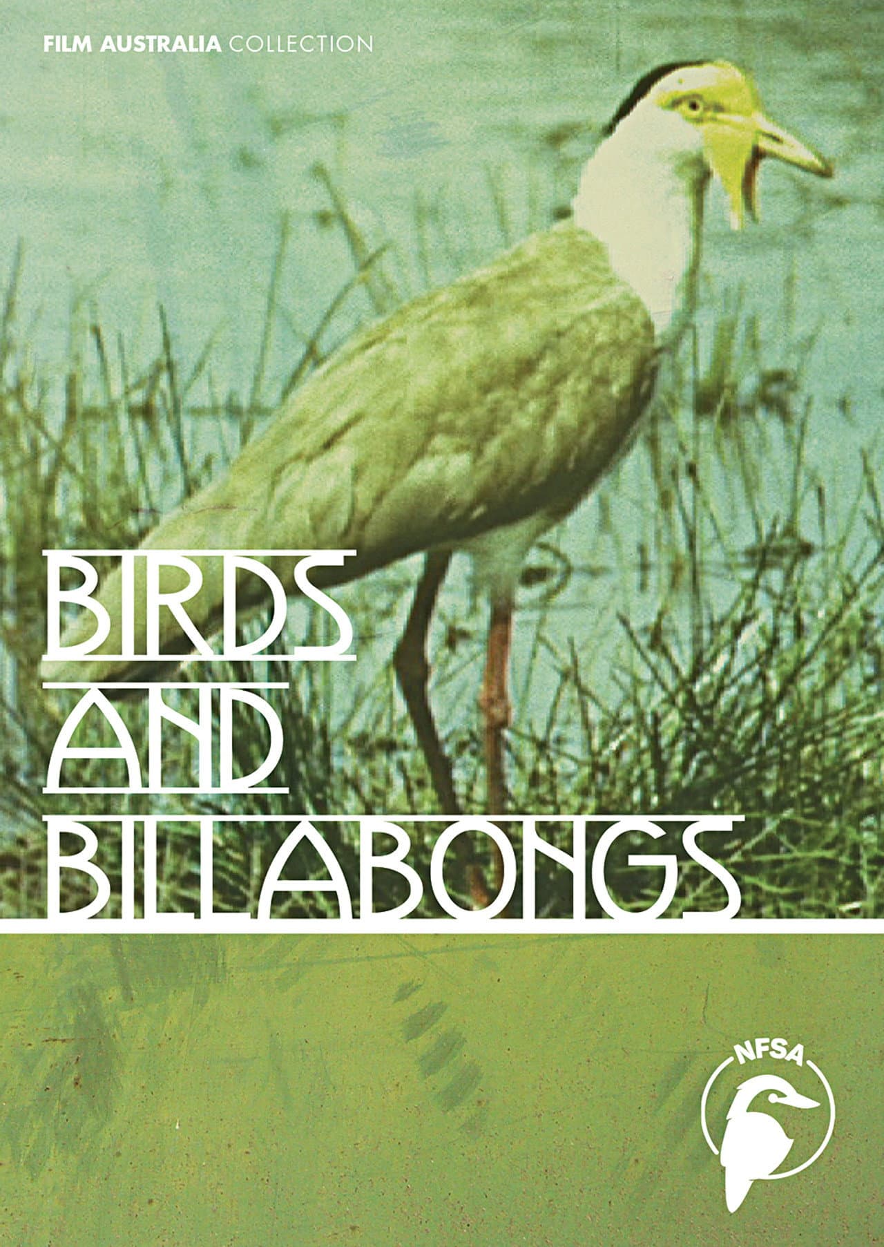 Birds and Billabongs preview 1