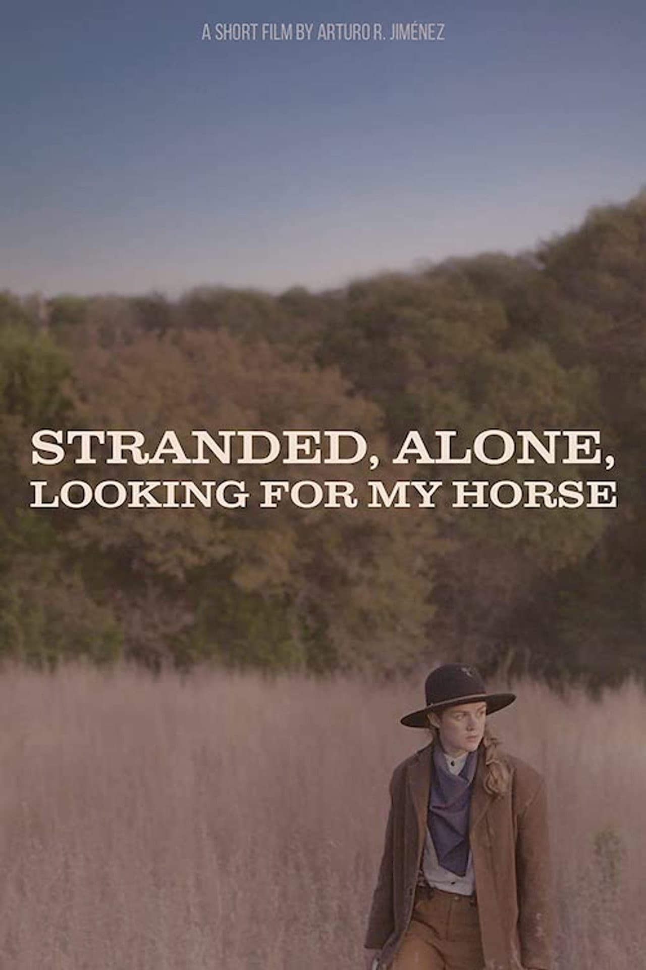Stranded, Alone, Looking for my Horse preview 2