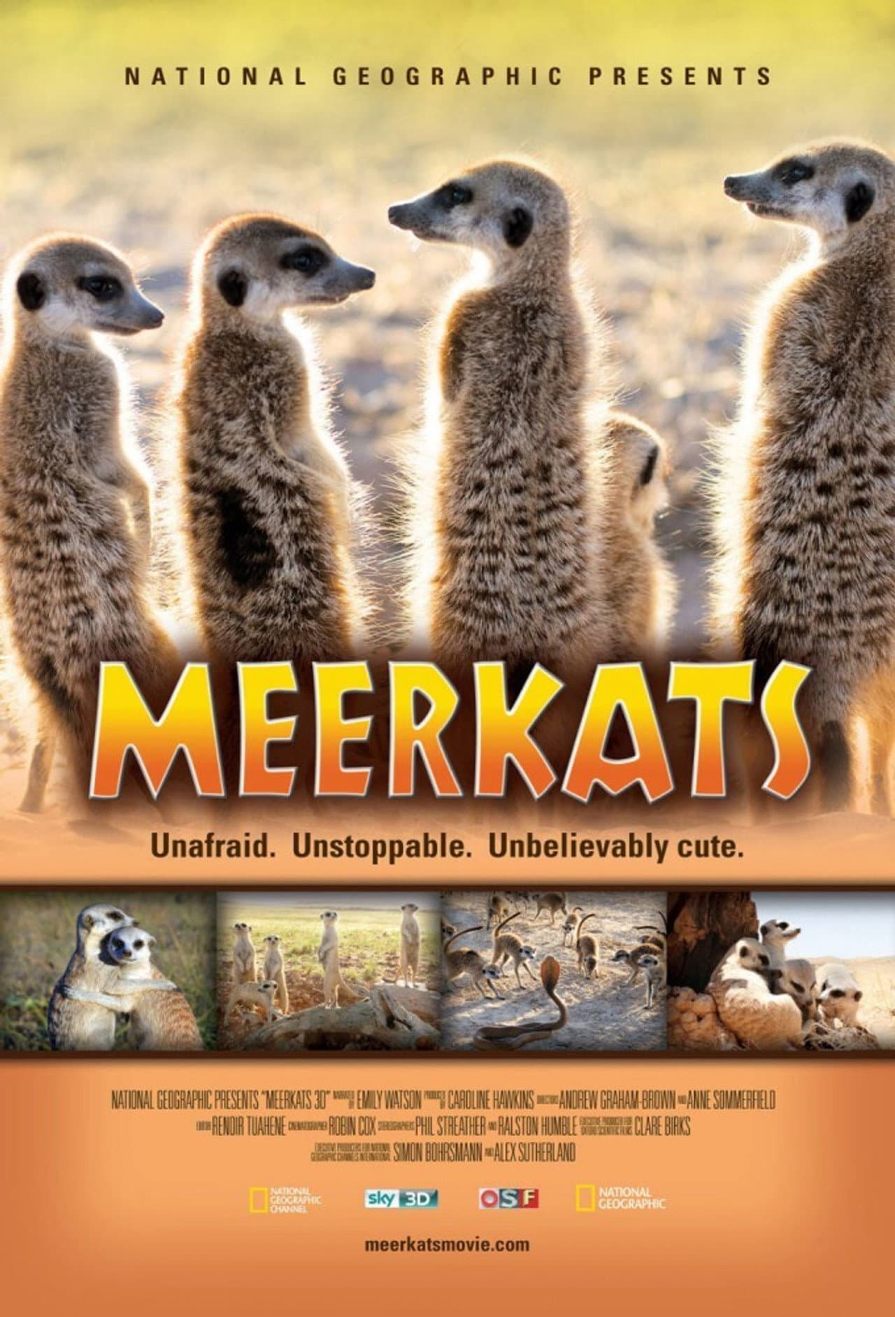 Meerkats 3D preview 1