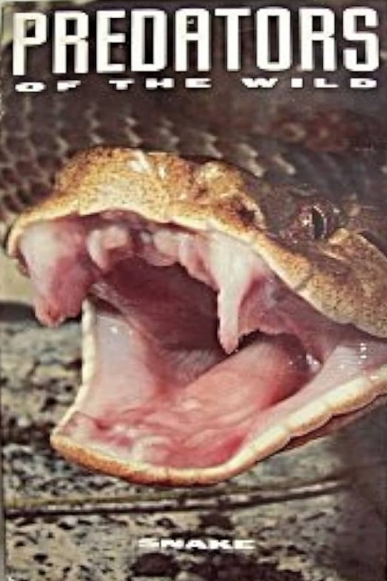 Predators of the Wild: Snake preview 2