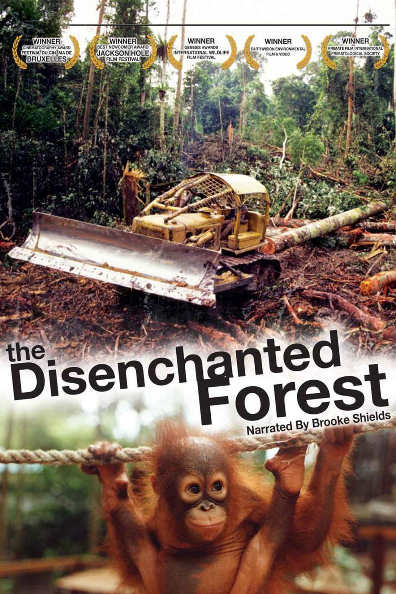 Disenchanted Forest preview 2