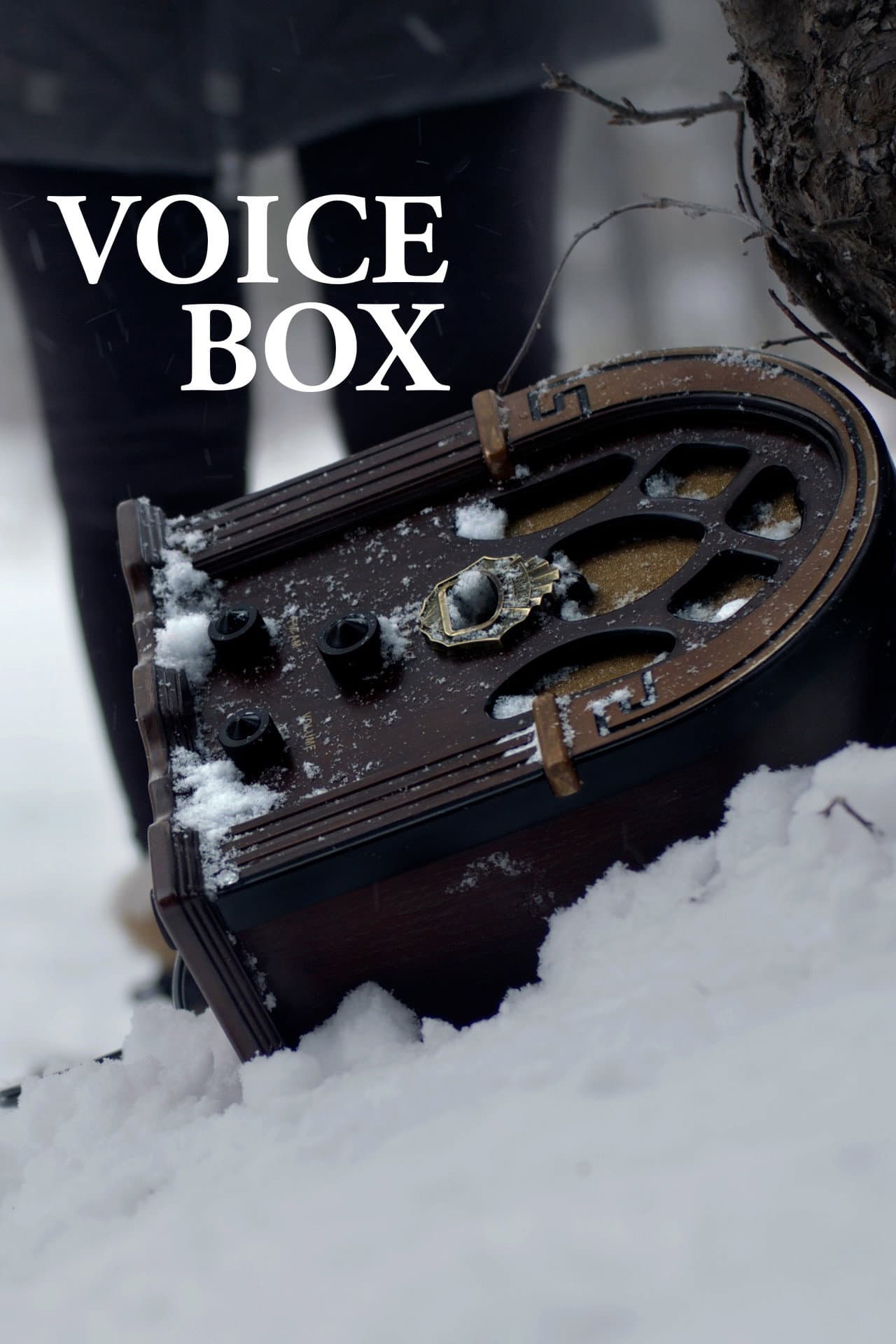 Voice Box preview 2