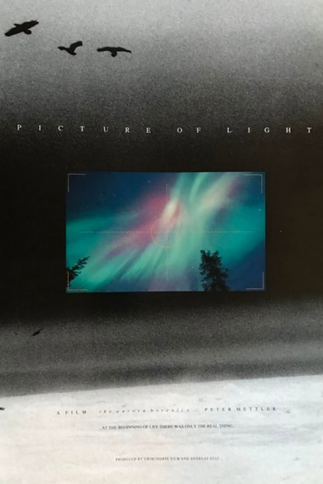 Picture of Light preview 2