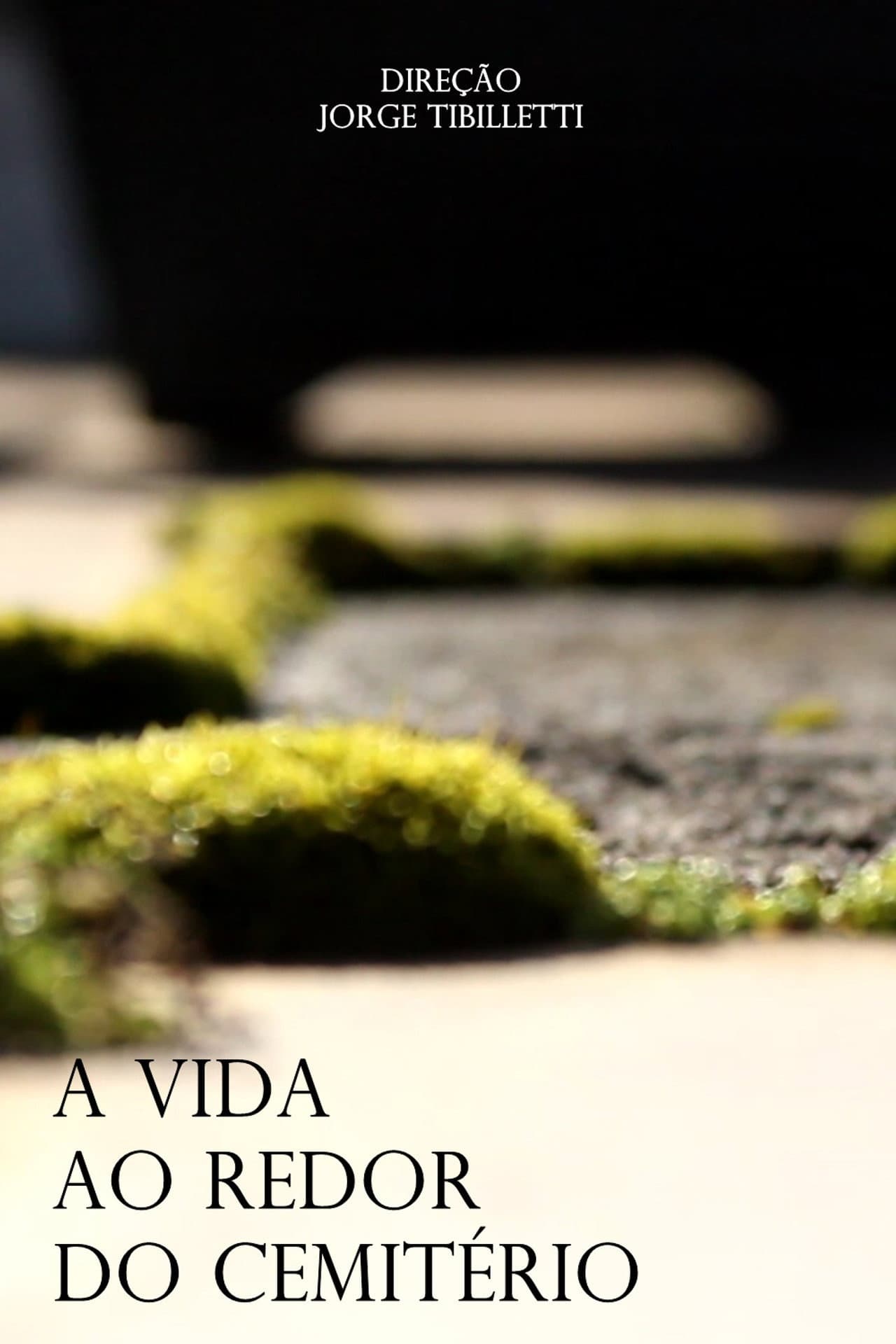 A Vida ao Redor do Cemitério preview 1