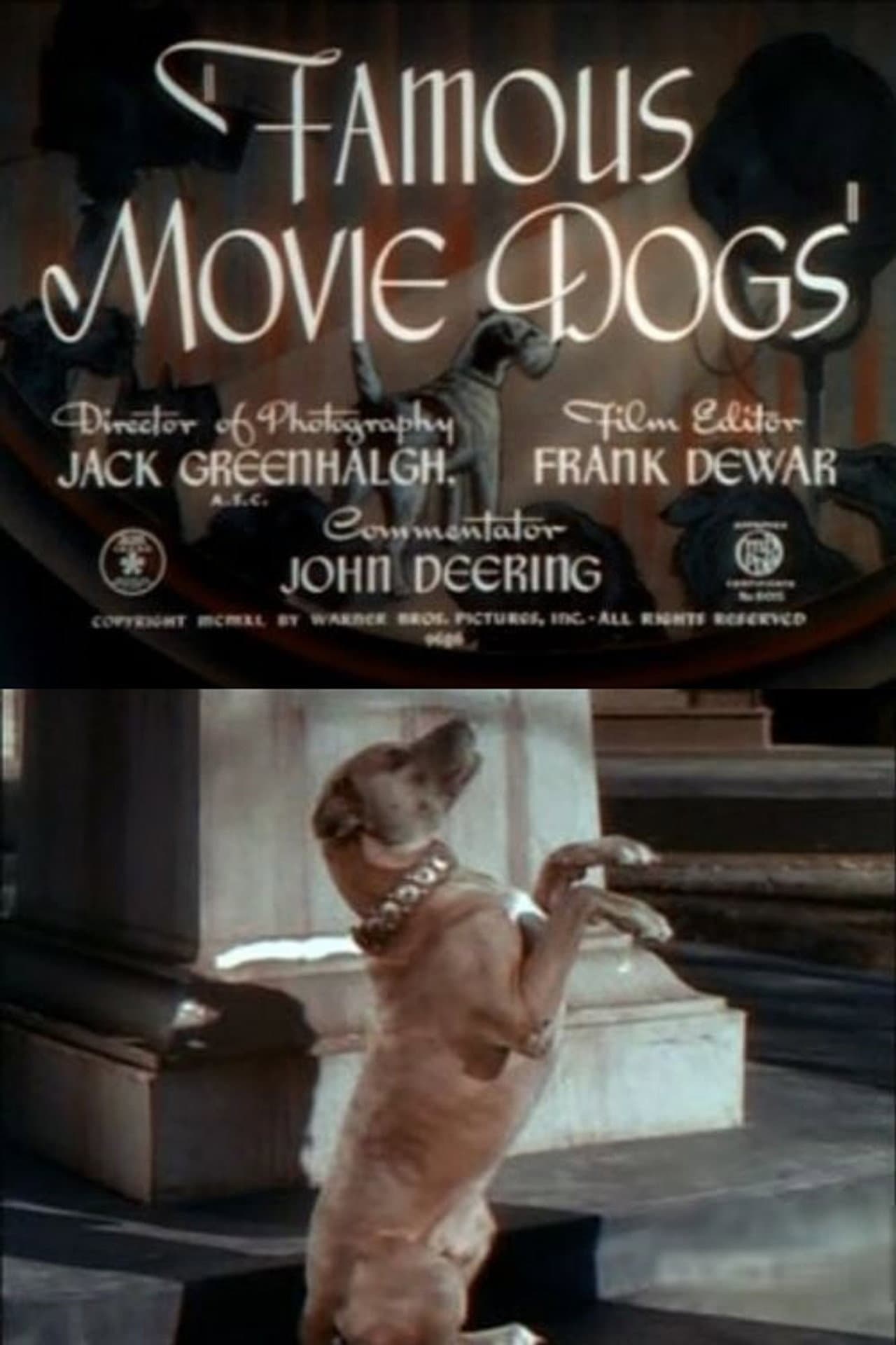 Famous Movie Dogs preview 1