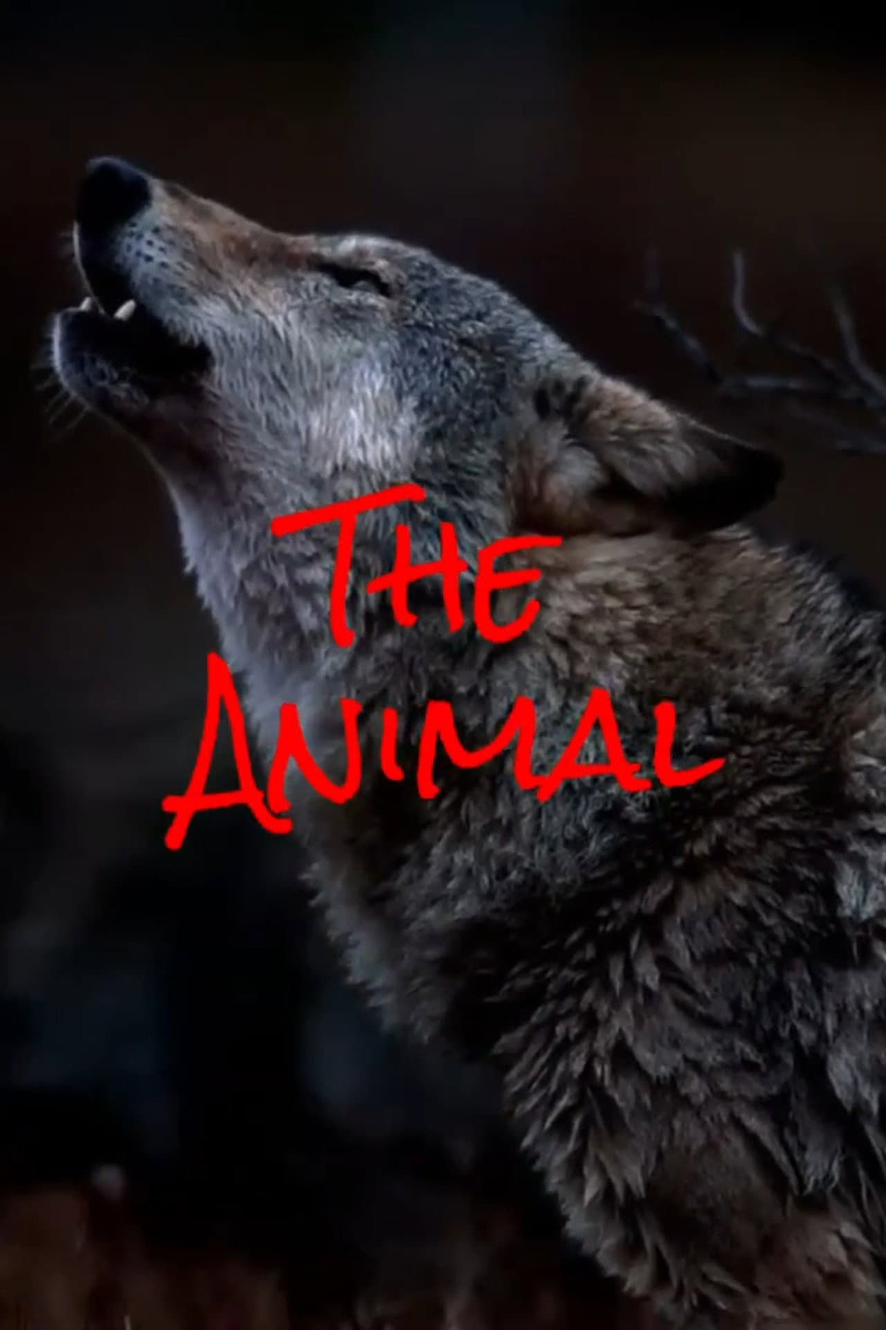 The Animal preview 2