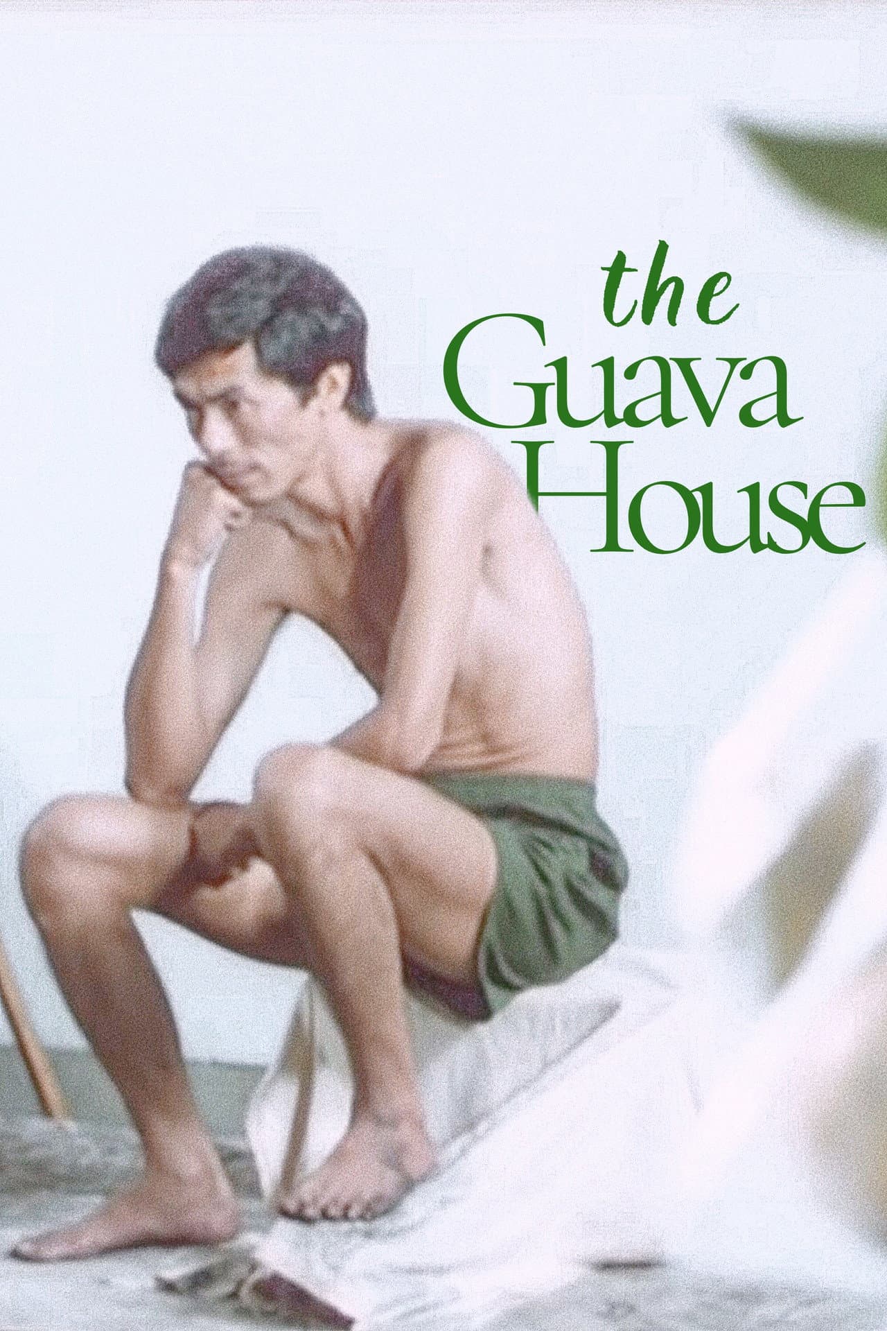 The Guava House preview 2