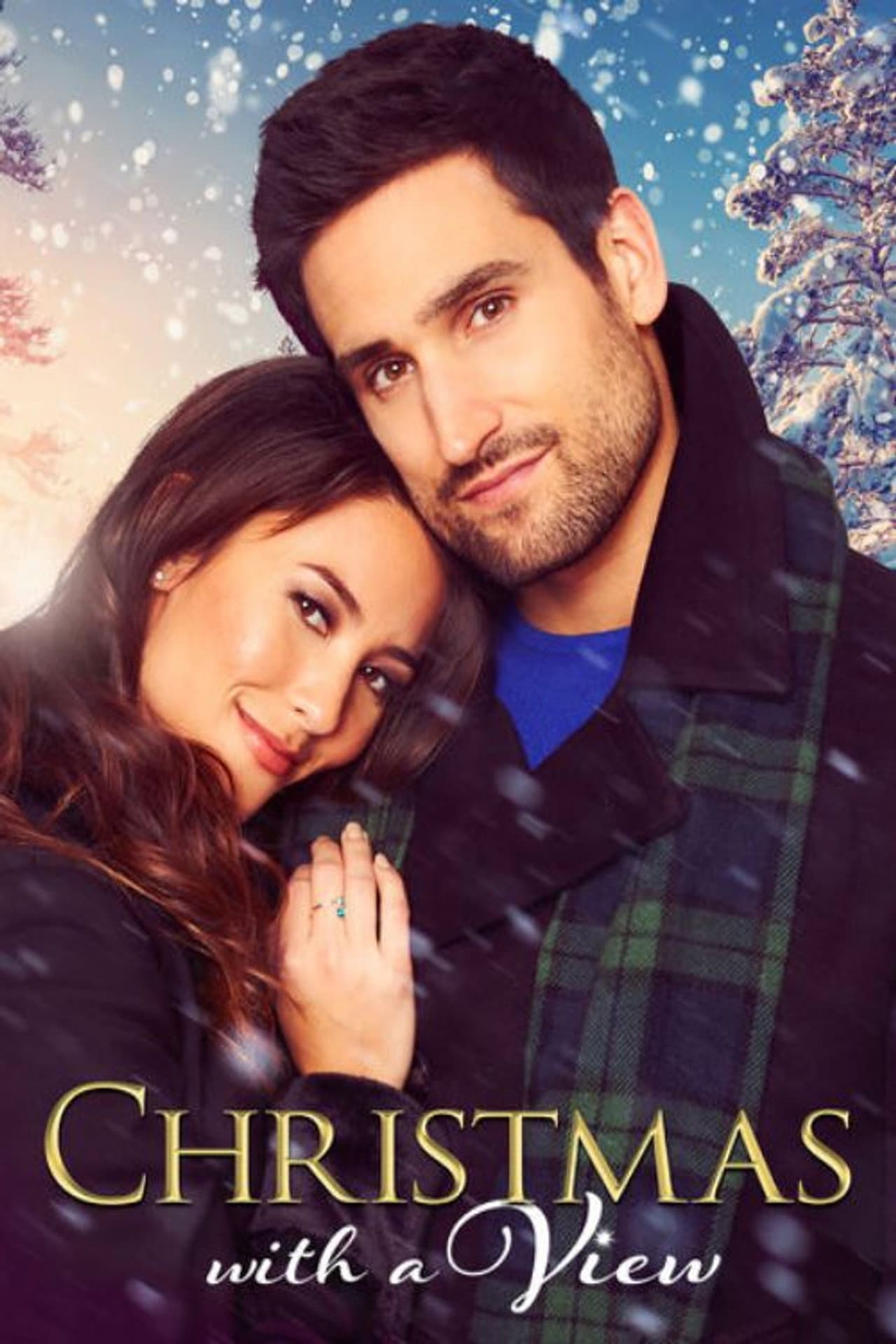Christmas with a View preview 2