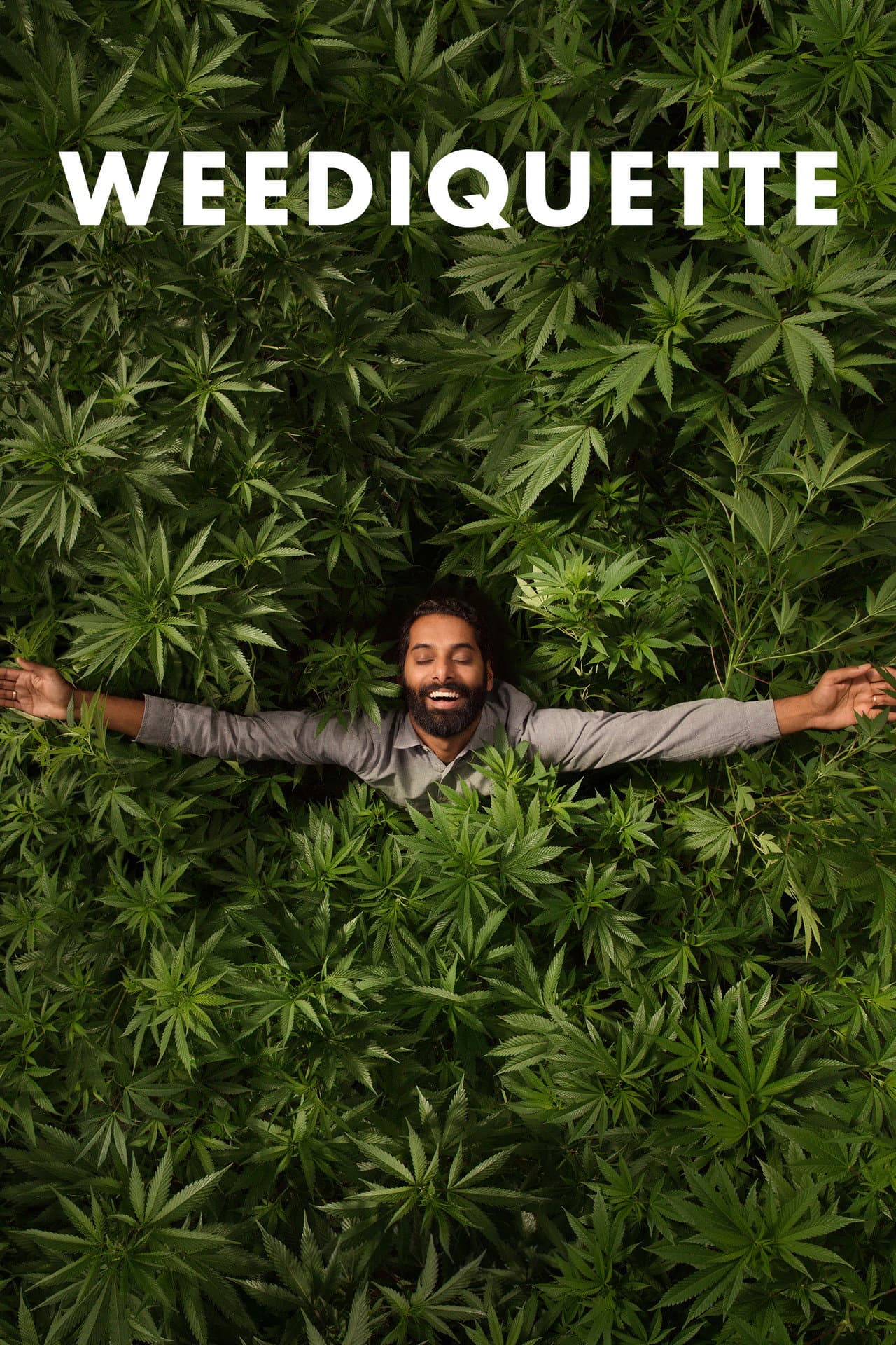 Weediquette preview 2