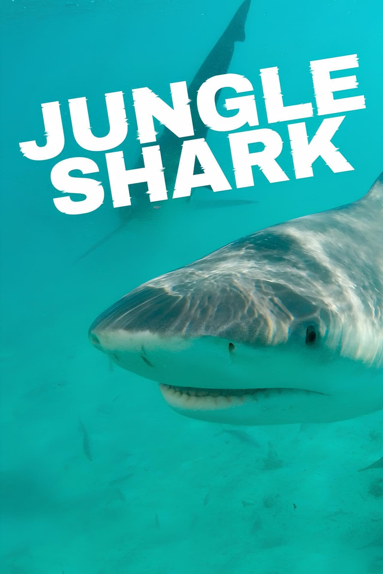 Jungle Shark preview 2