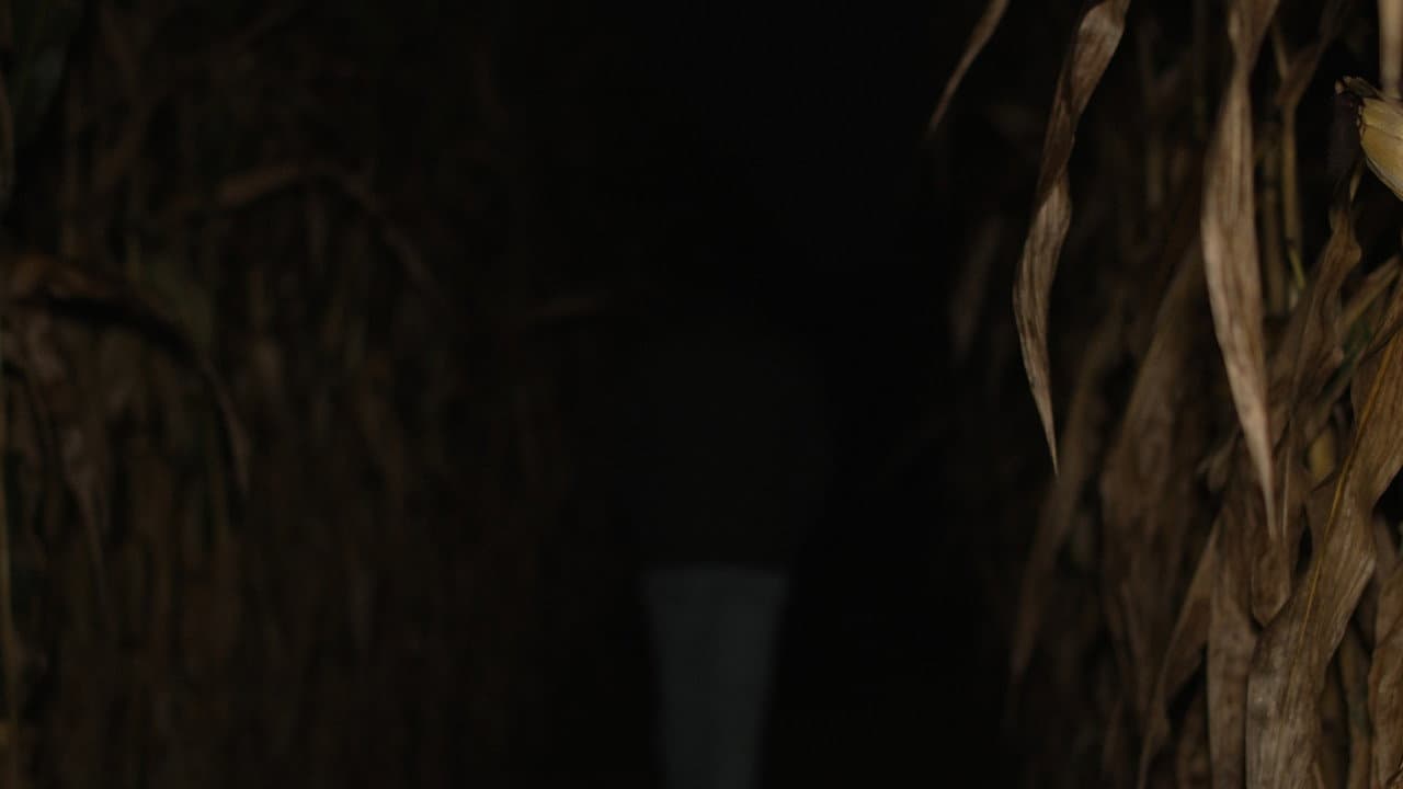 2:37