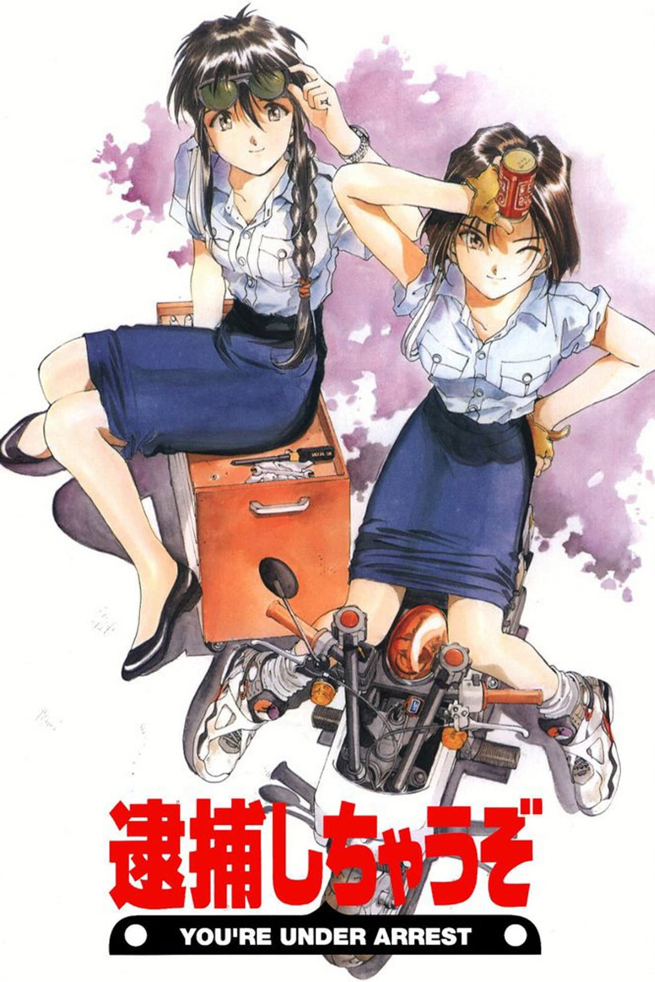 You're Under Arrest! preview 2