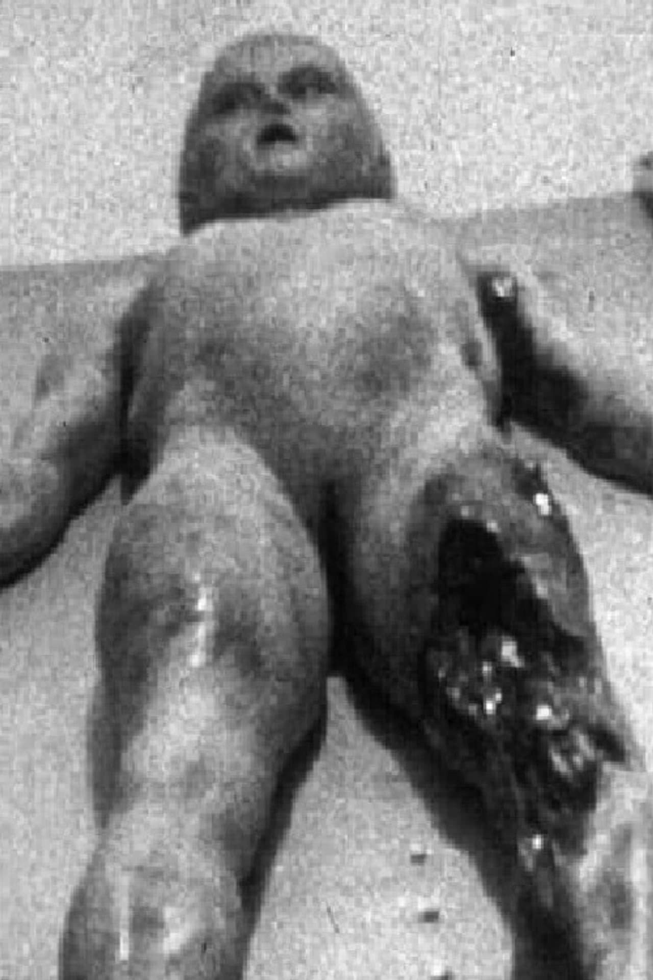 The Alien Autopsy preview 2