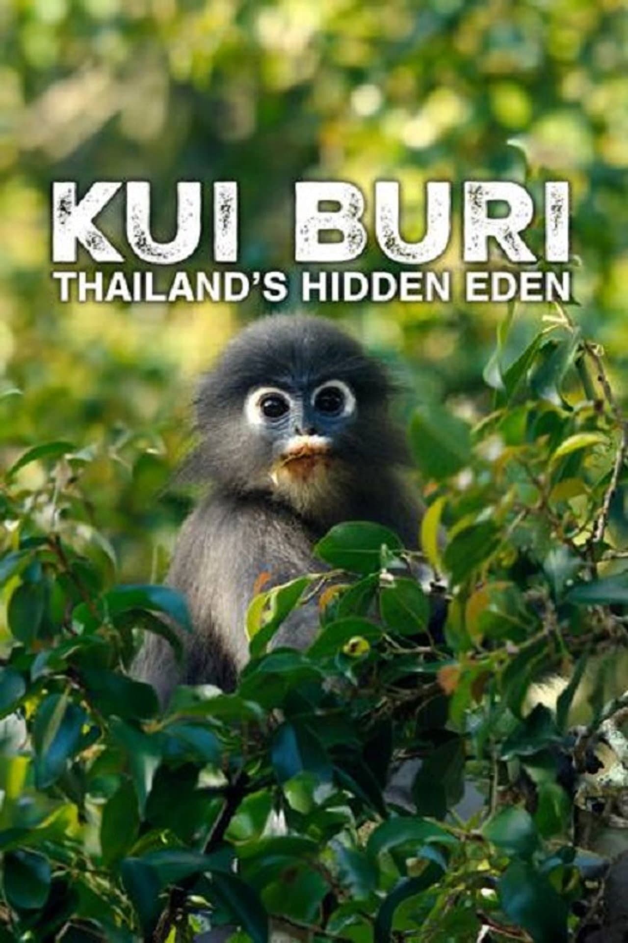 Kui Buri: Thailand's Hidden Eden preview 2