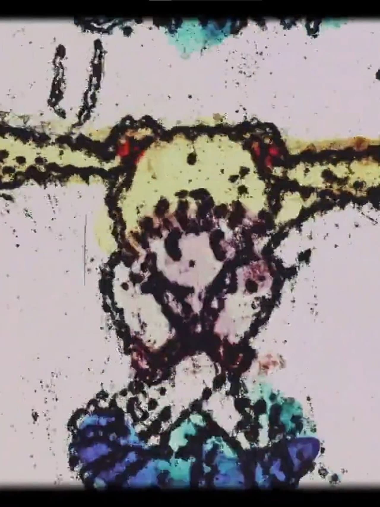 Moon Cycle (I: bran stakhage’s moonlight; II: mercury retrograde) preview 1