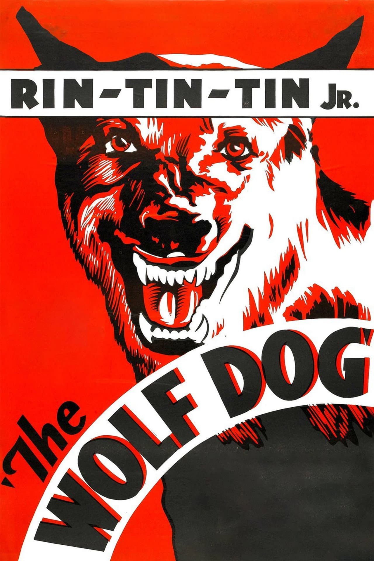 The Wolf Dog preview 2