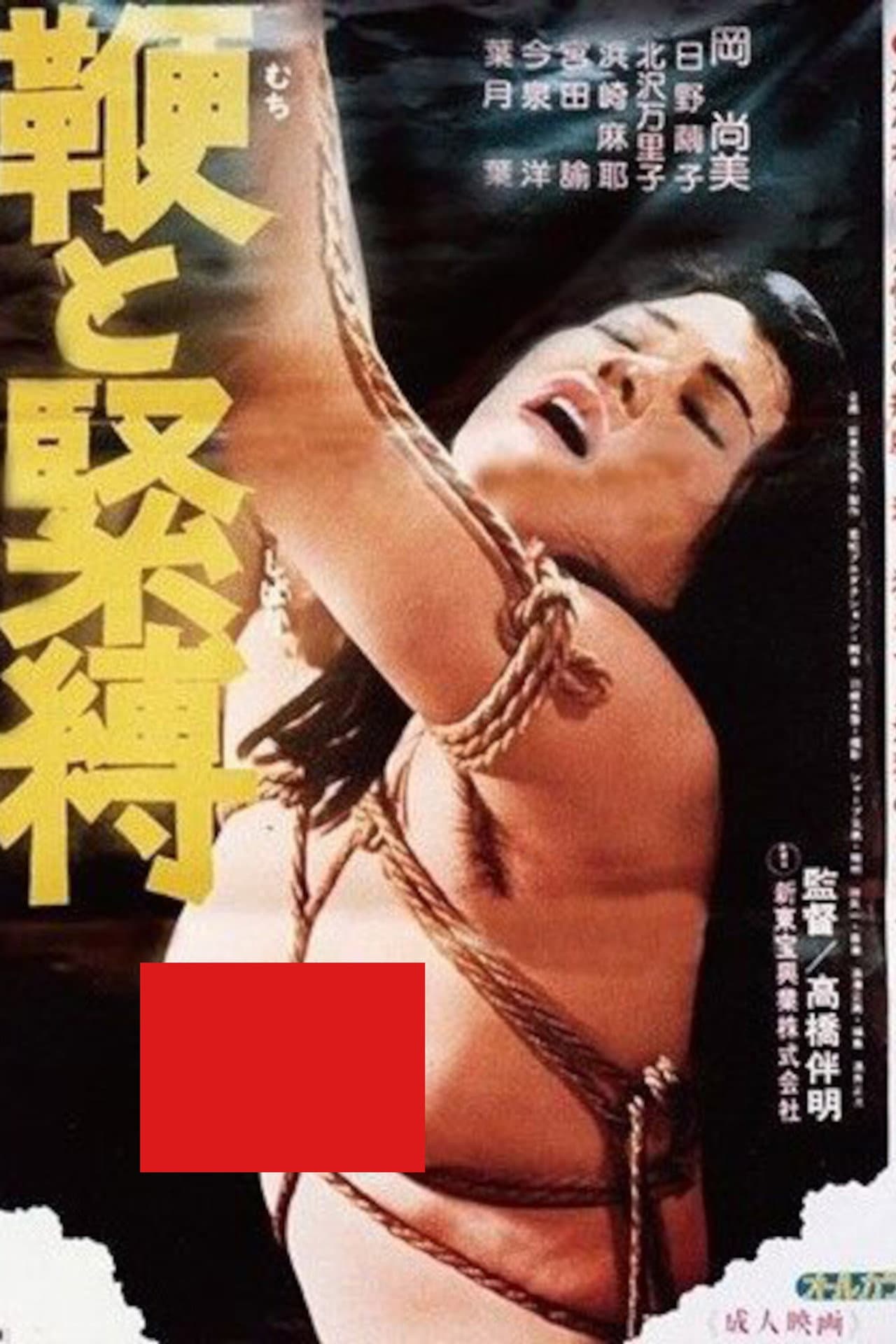 Whip and Bondage preview 1