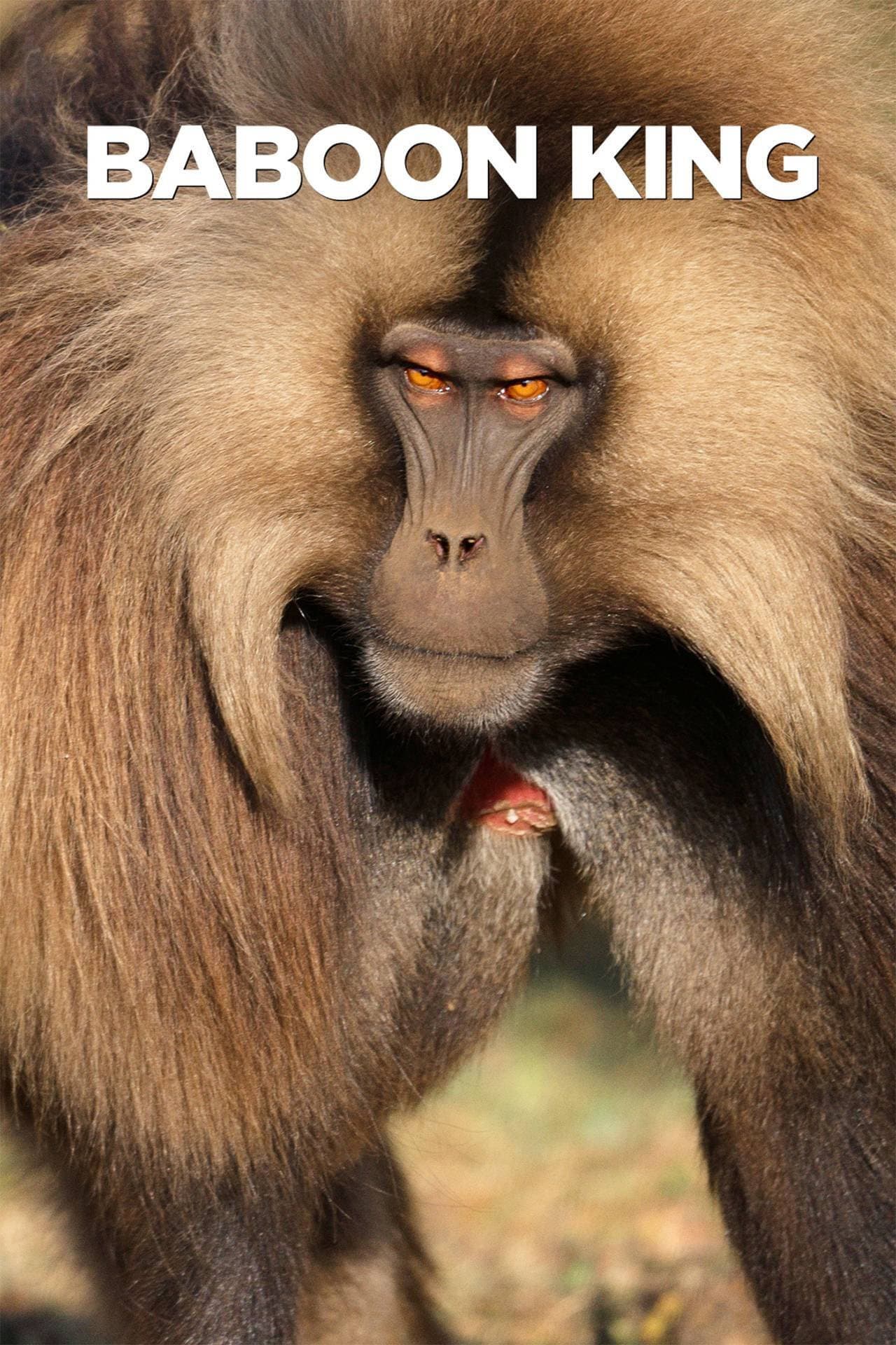 Baboon King preview 2