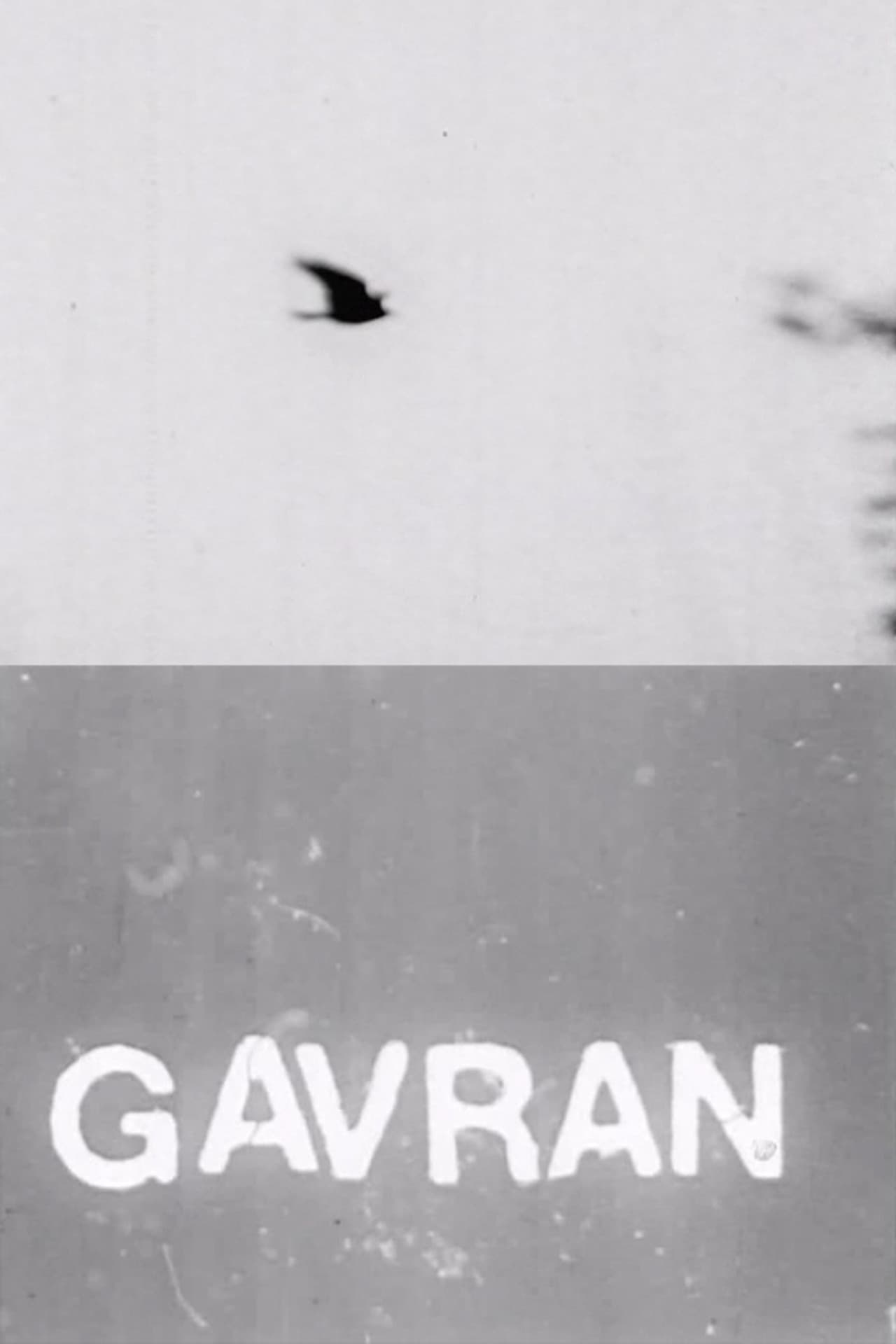The Raven preview 2