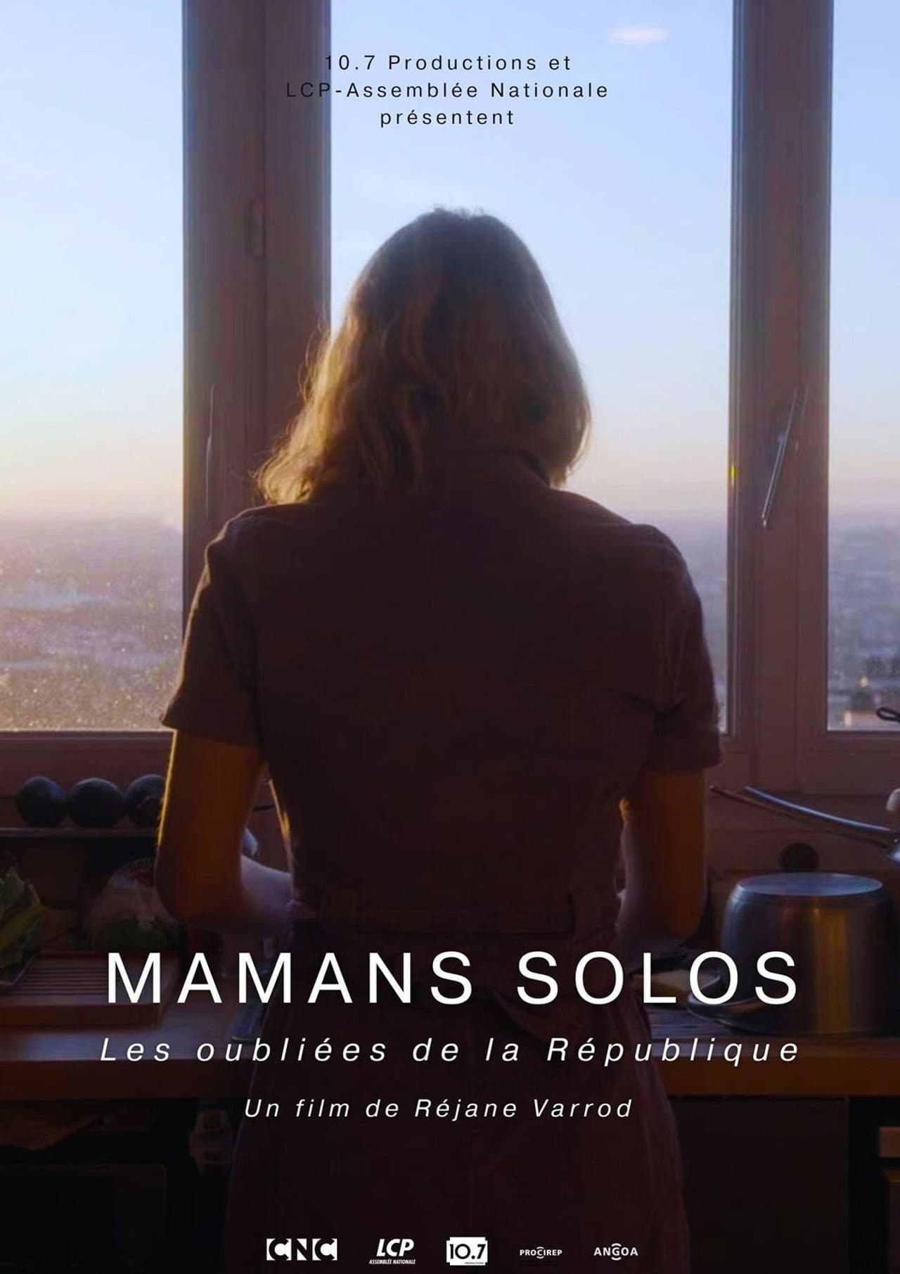 Mamans solos - Les oubliées de la République preview 2