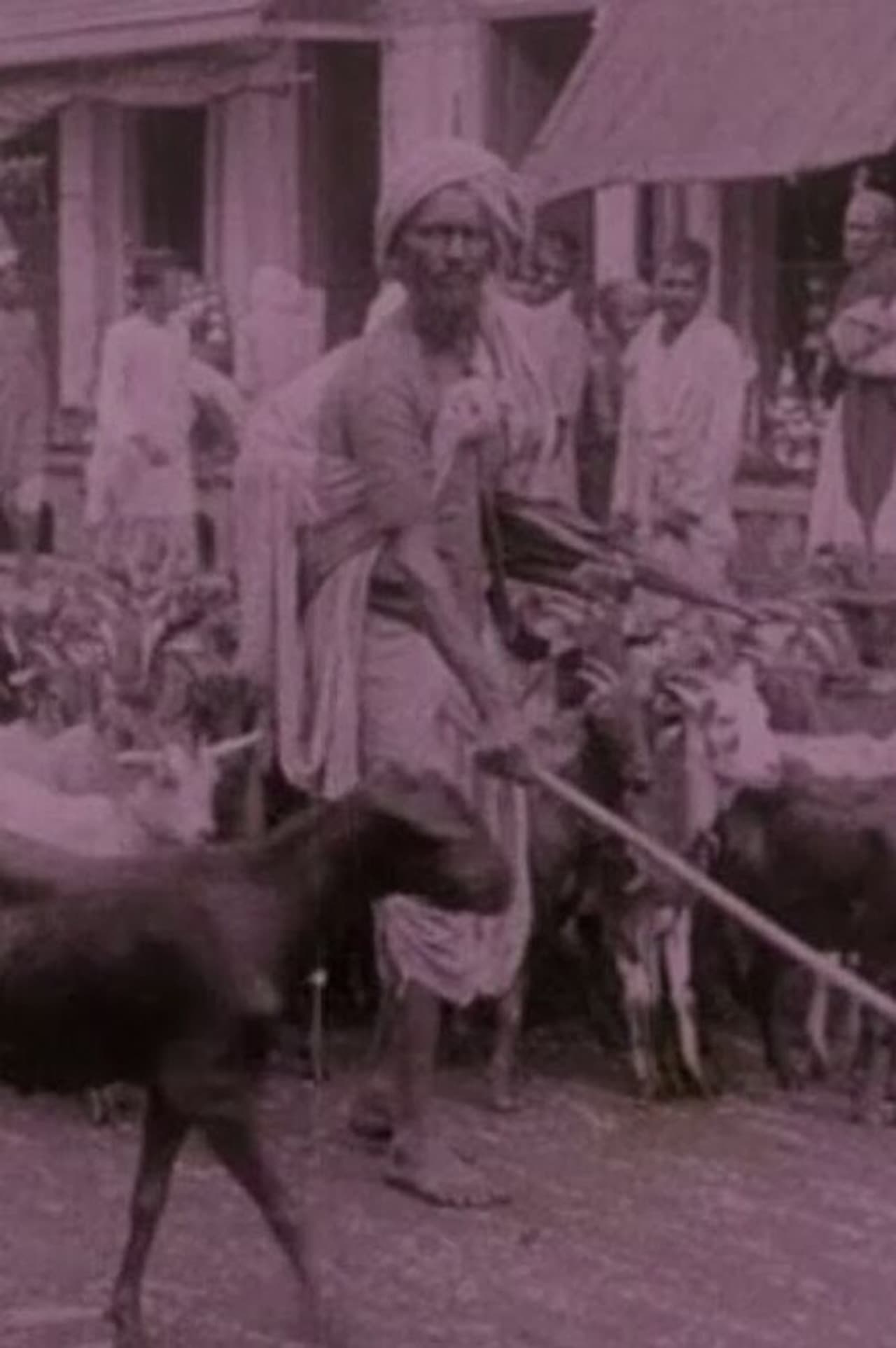 Picturesque India or, In and About Calcutta preview 2