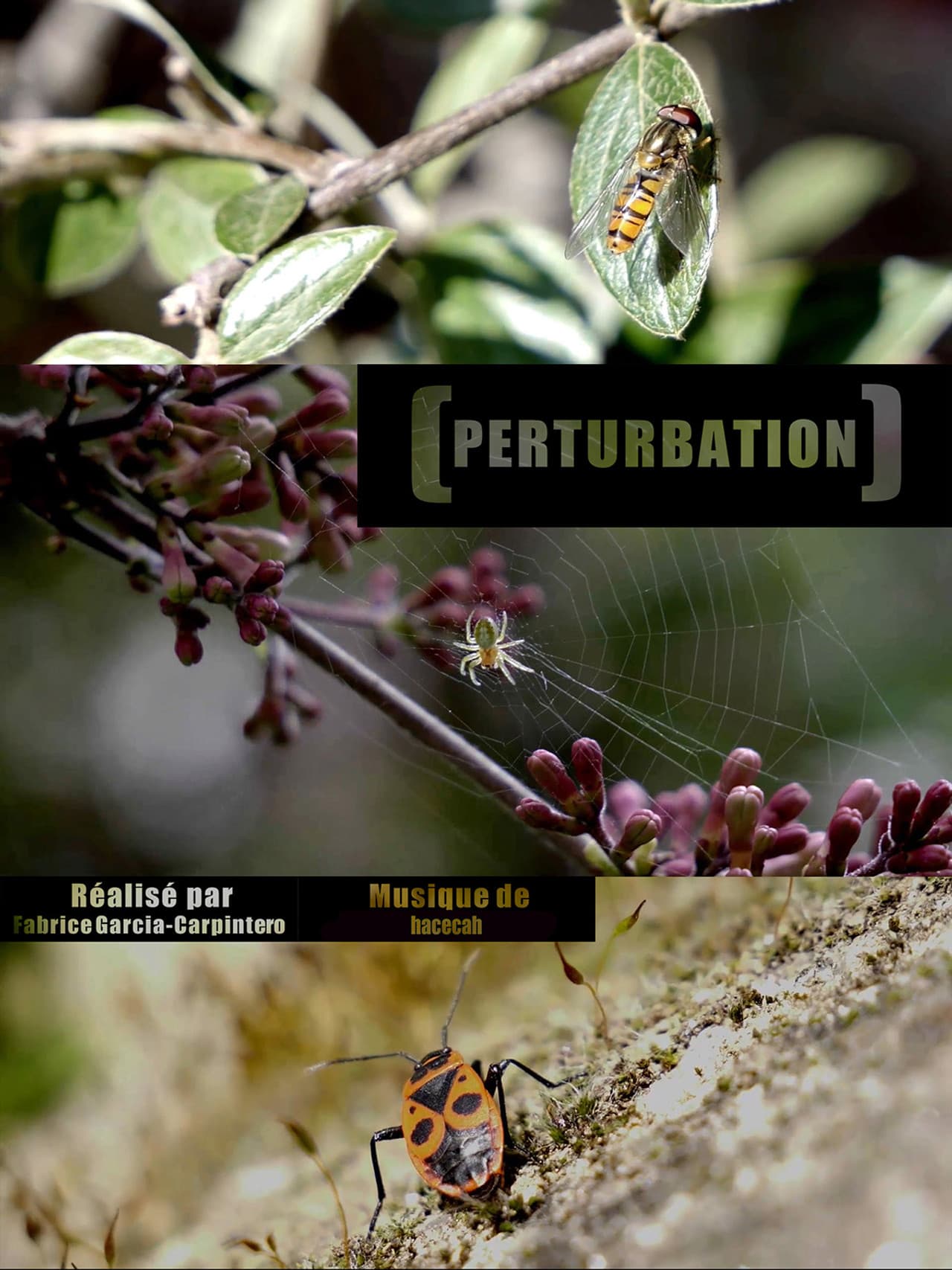 Perturbation preview 1