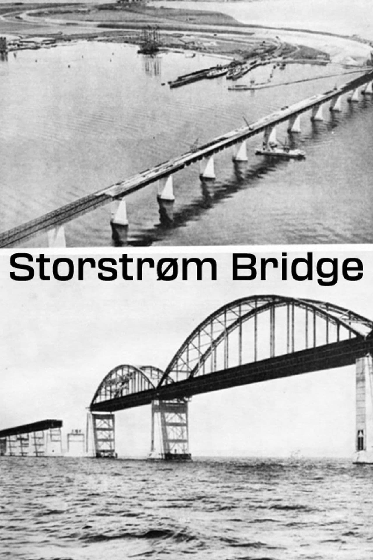 Storstrøm Bridge preview 2