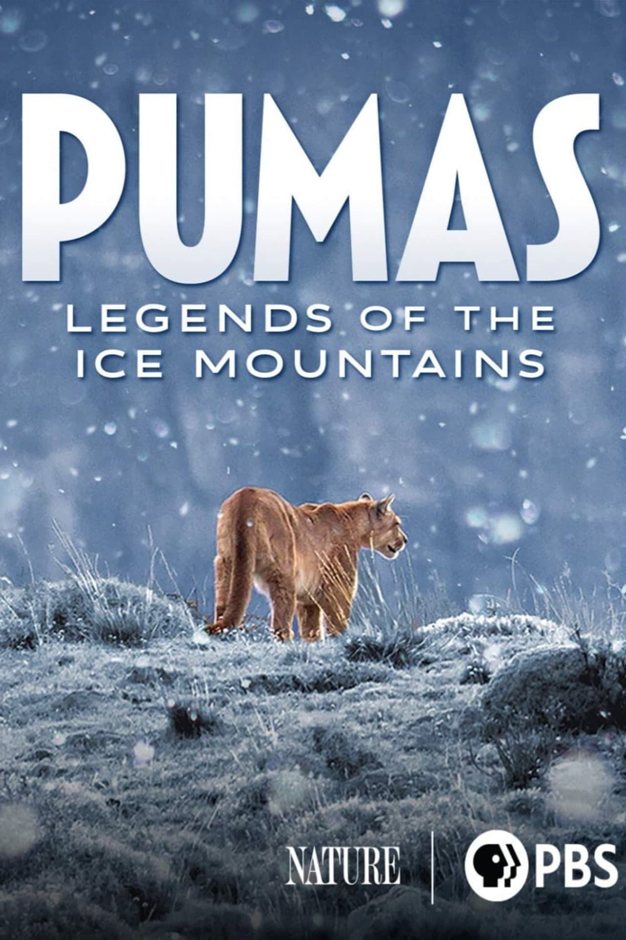 Pumas: Legends of the Ice Mountains preview 2