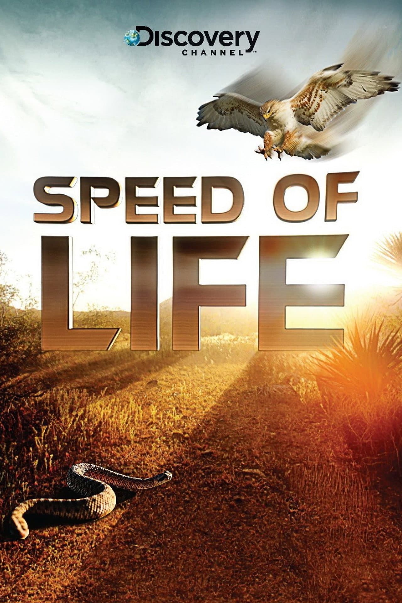 Speed of Life preview 1