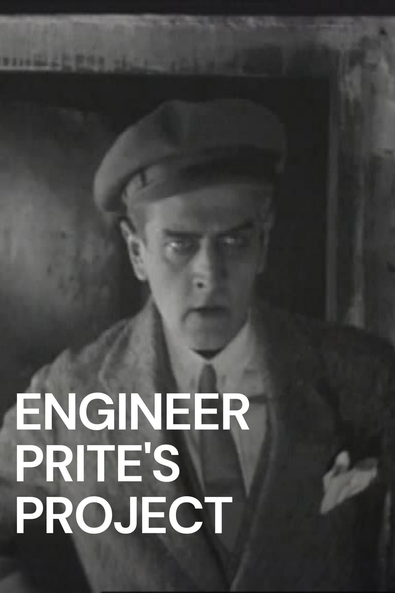Engineer Prite's Project preview 2