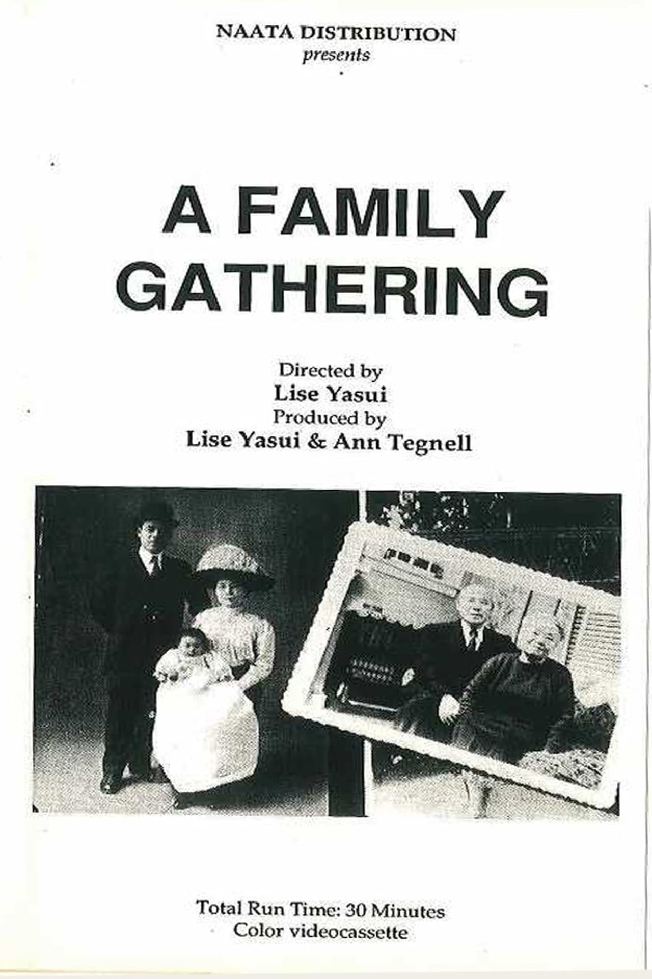 A Family Gathering preview 1