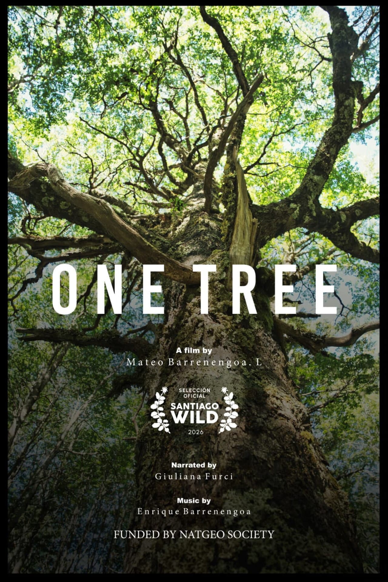 Un Árbol preview 1