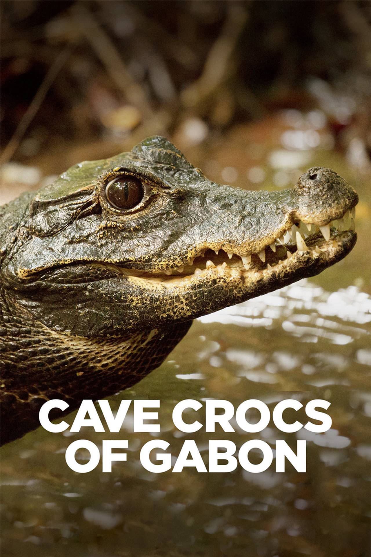 Cave Crocs of Gabon preview 2
