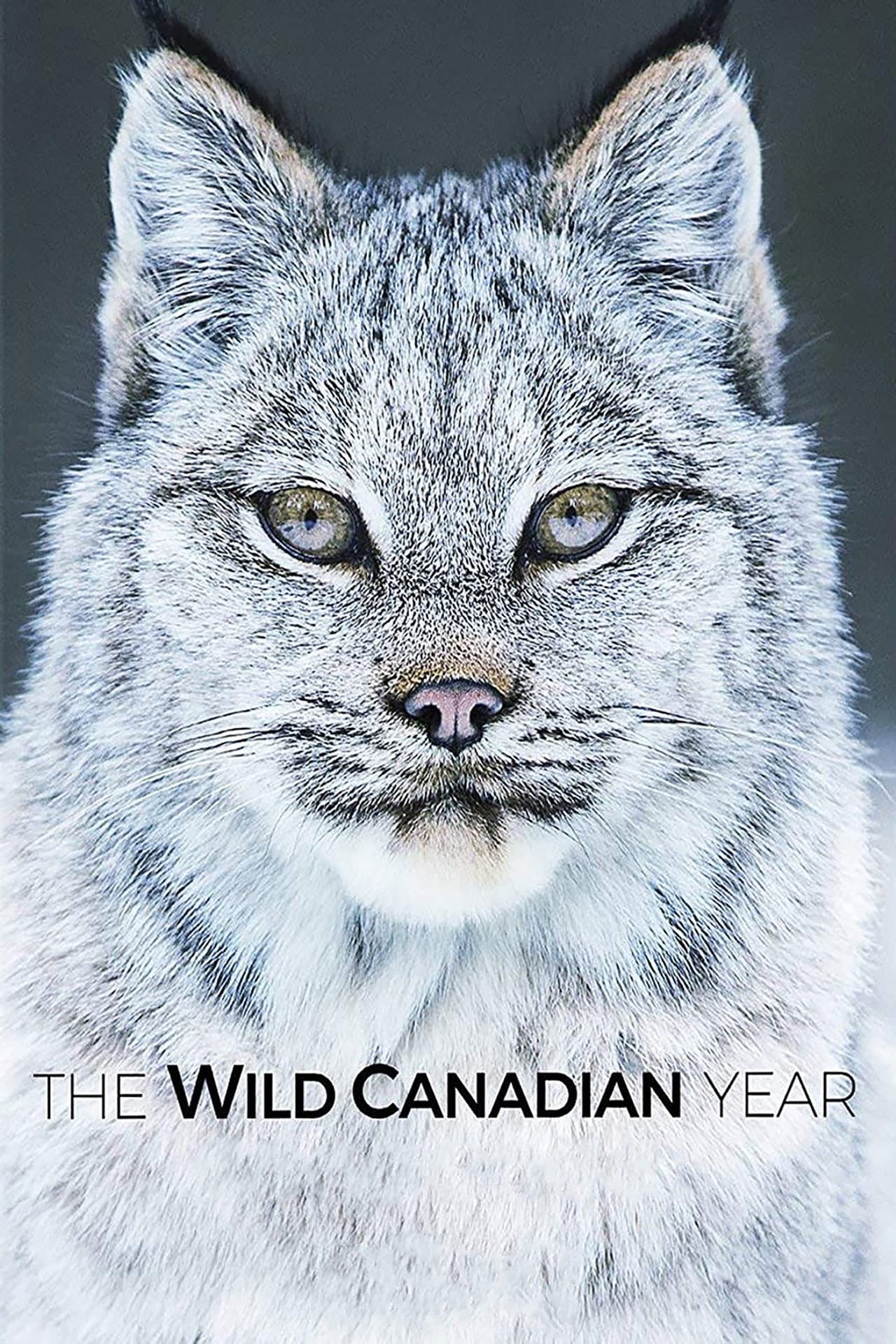 The Wild Canadian Year preview 1