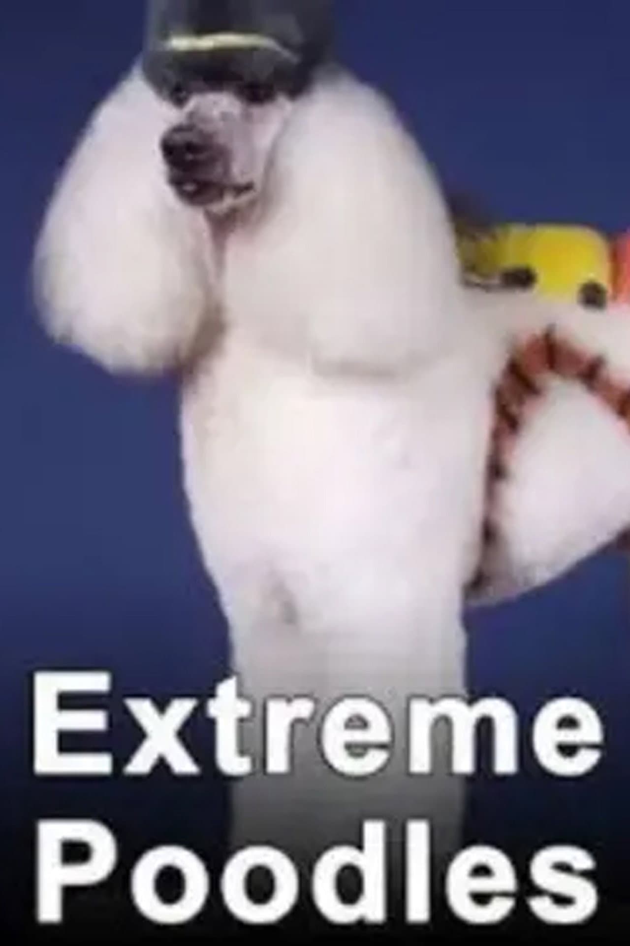 Extreme Poodles preview 1