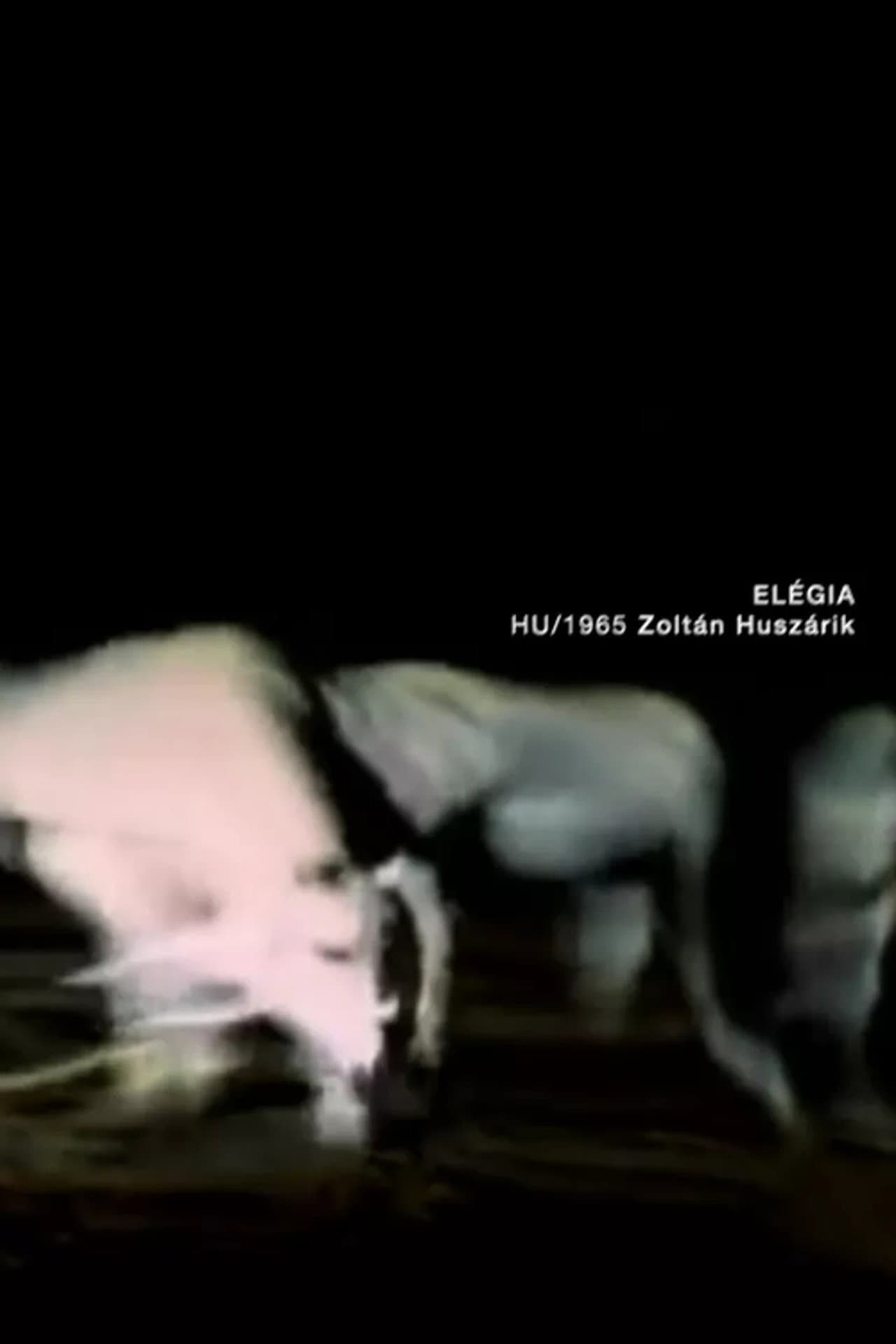 Elegy preview 2