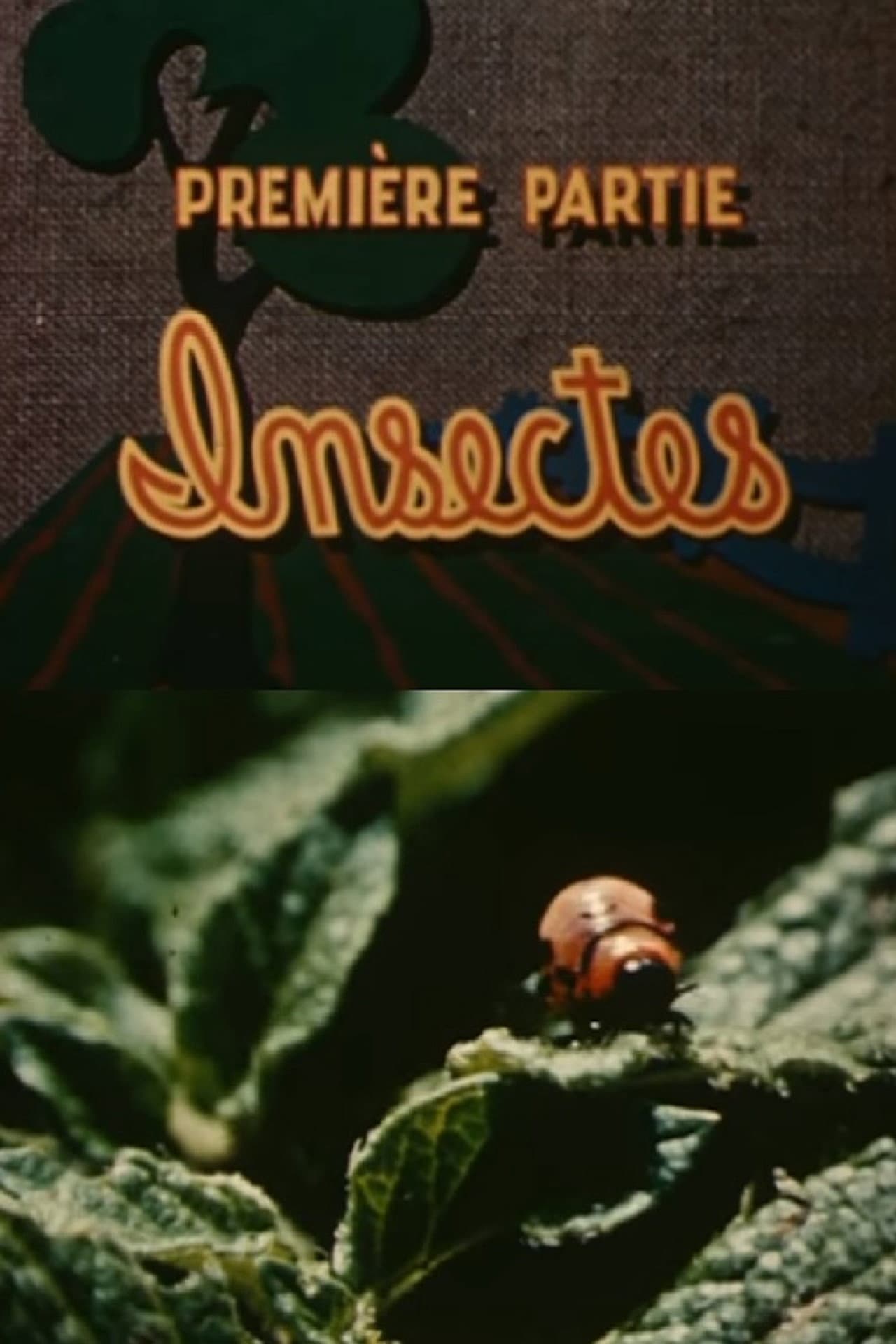 The Enemies of the Potato: Insects preview 1
