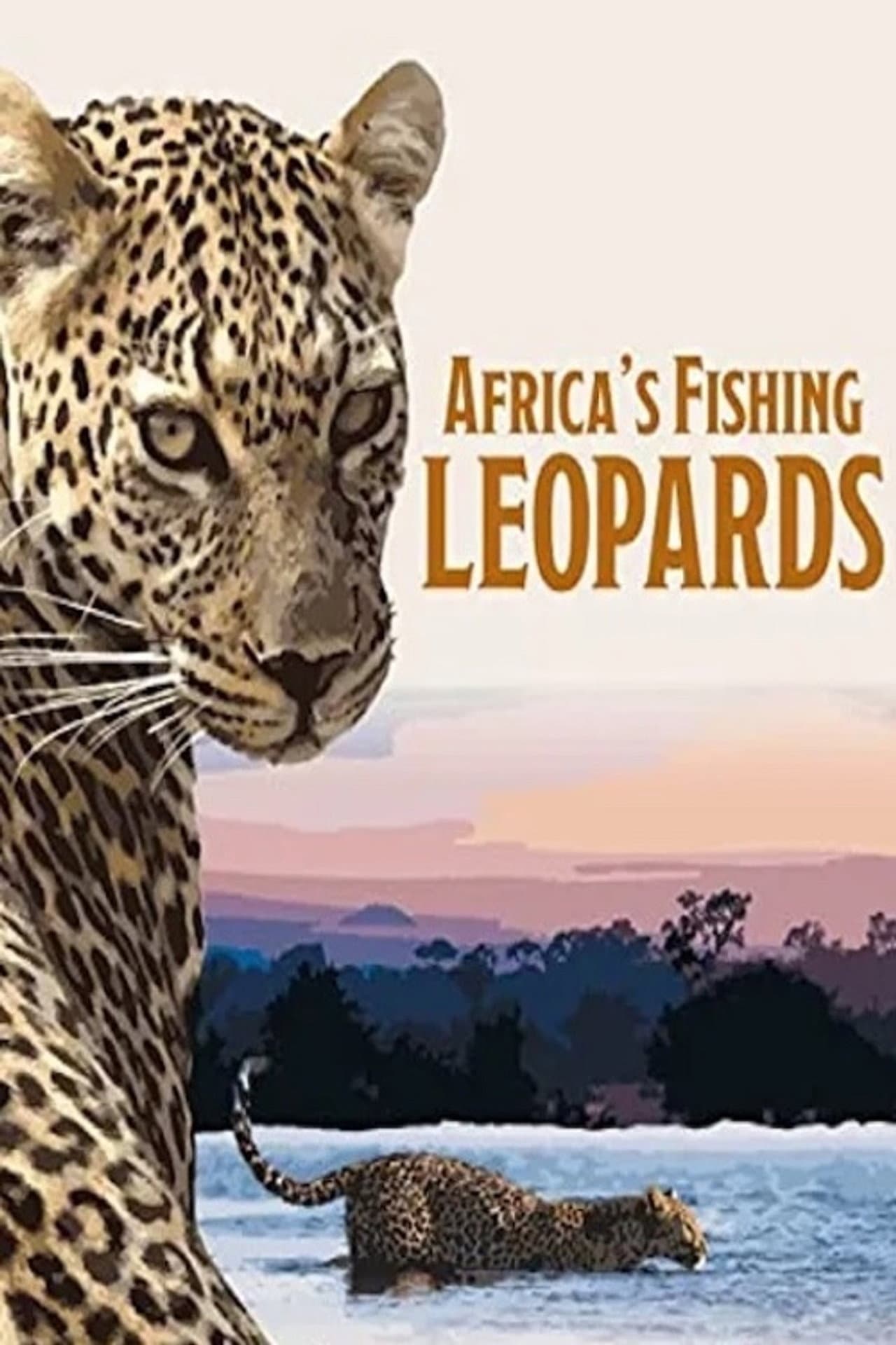 Africa's Fishing Leopards preview 2