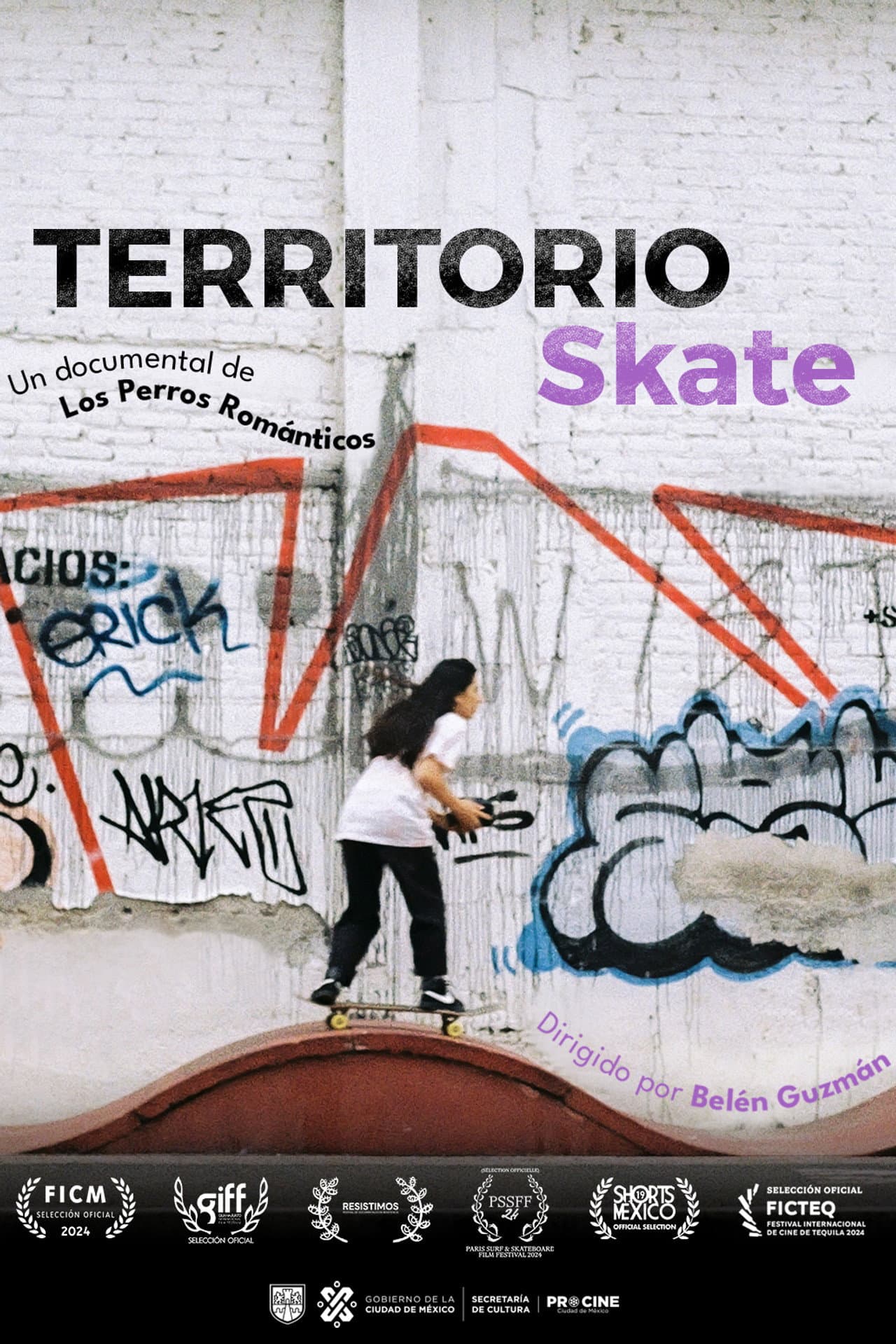Skate Territory preview 2