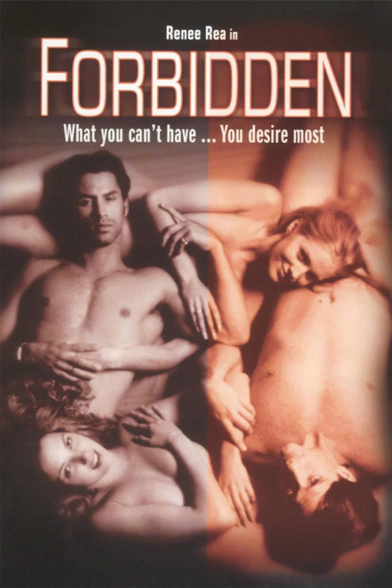 Forbidden preview 2