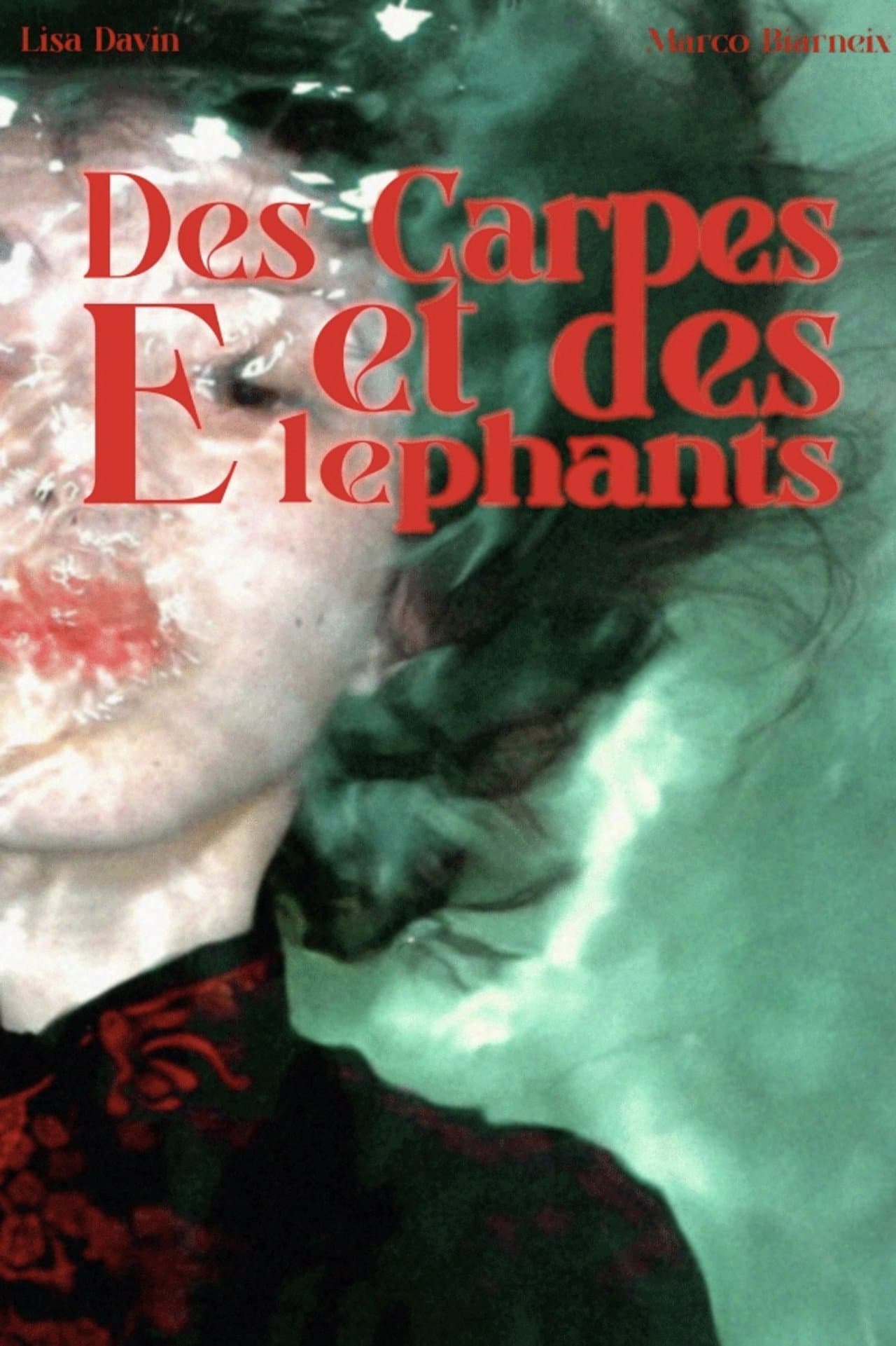 Des Carpes et des Éléphants preview 2