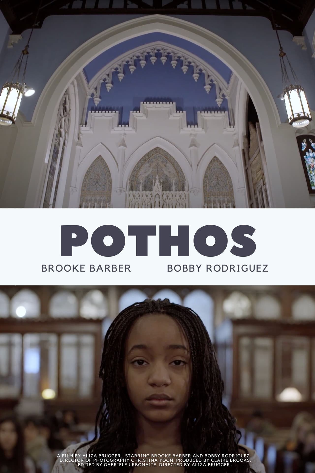 Pothos preview 2