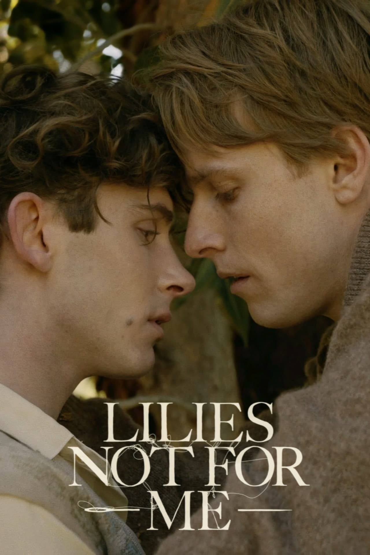 Lilies Not for Me preview 2