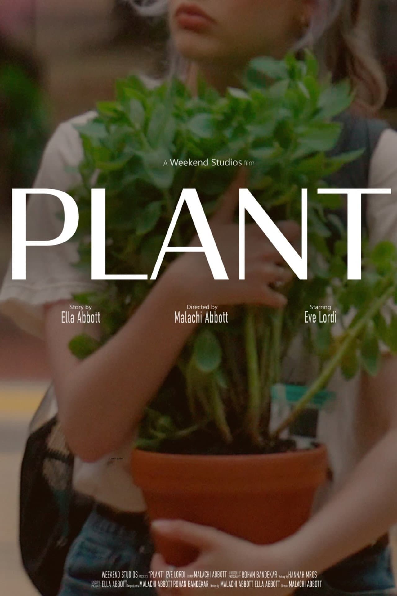 Plant preview 1